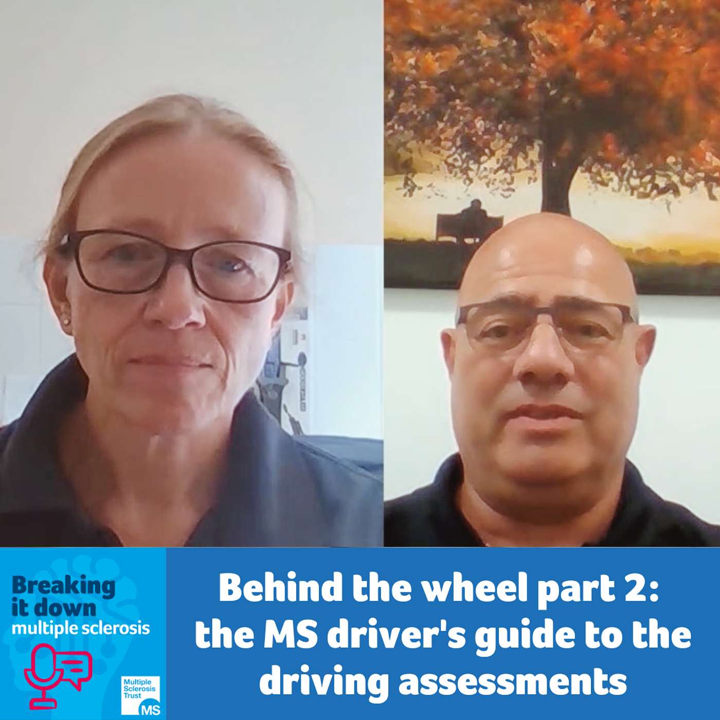 Behind the wheel part 2: the MS driver's guide to driving assessments