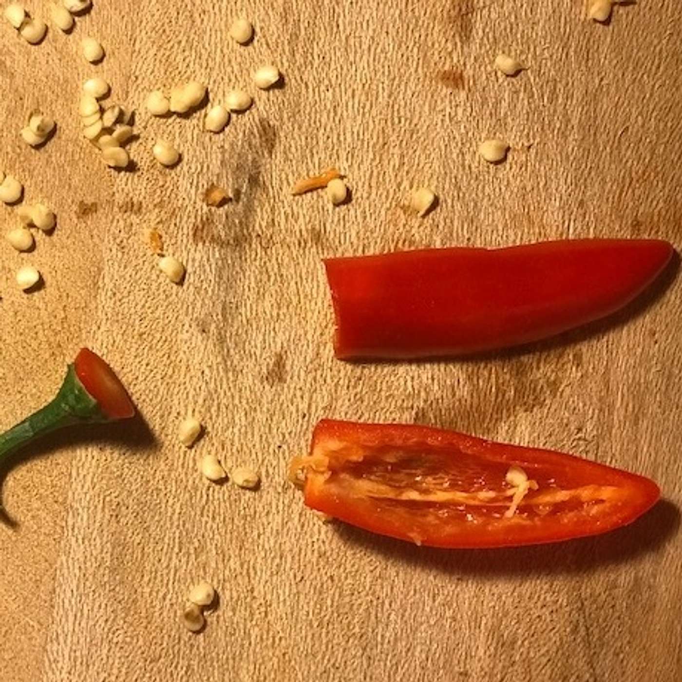 Episode 208: Hot Peppers For Pain Relief Plus Introducing Janet AI