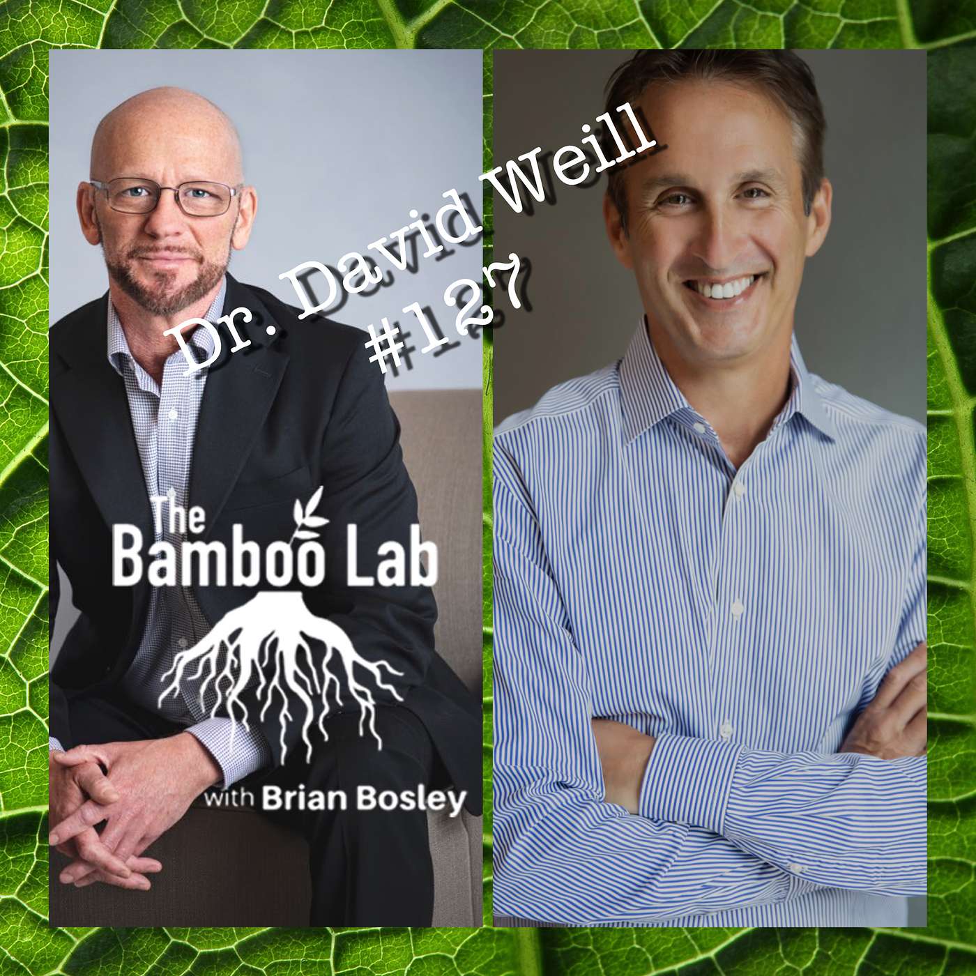 The Bamboo Lab Podcast