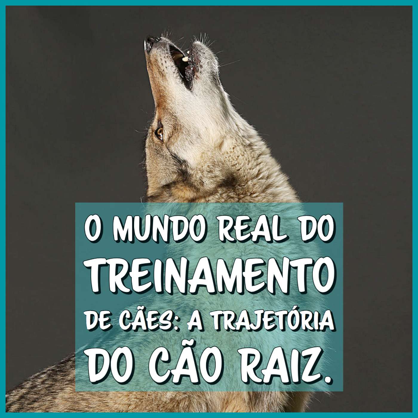 O mundo real do treinamento de cães - a trajetória do Cão Raiz episode artwork
