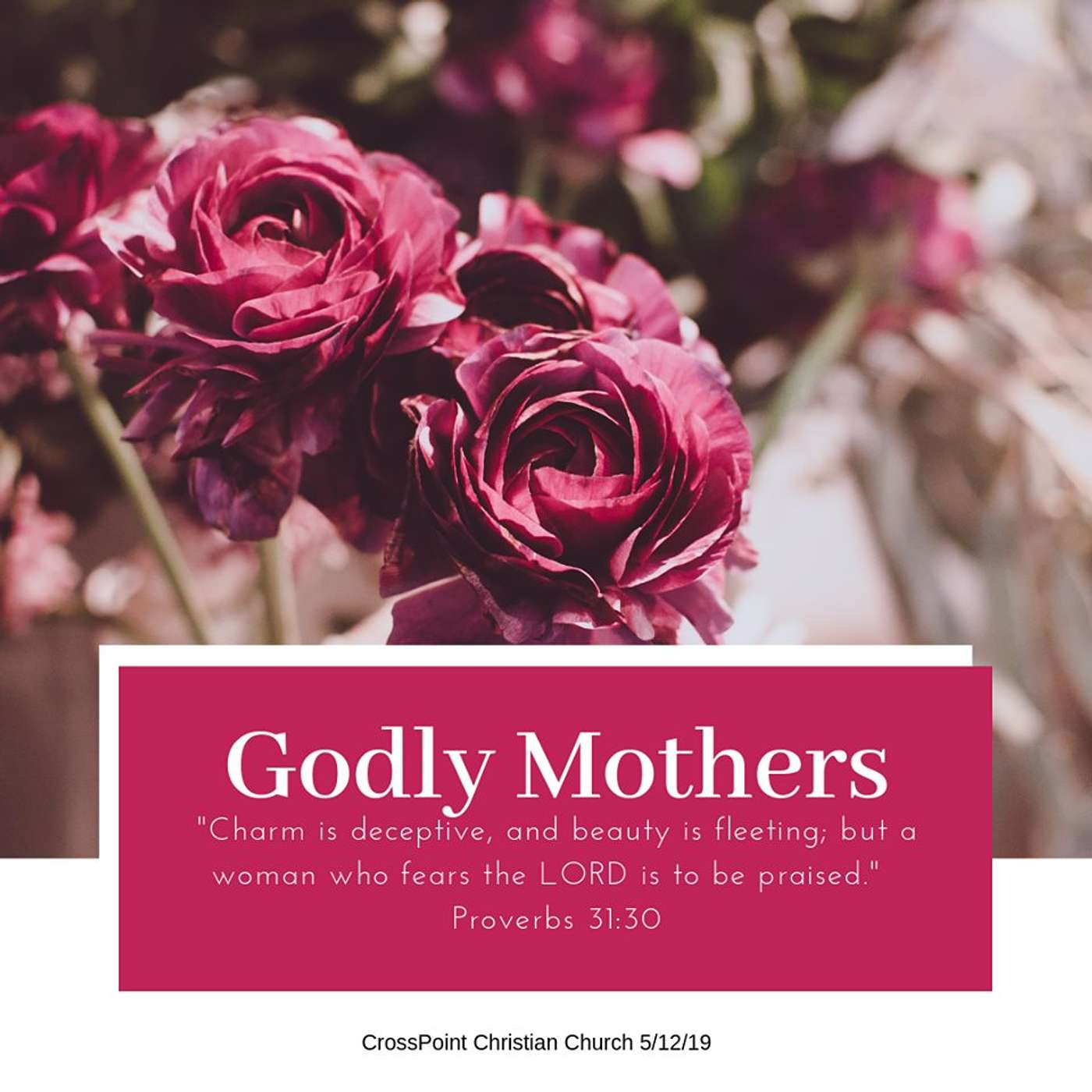 Godly Mothers