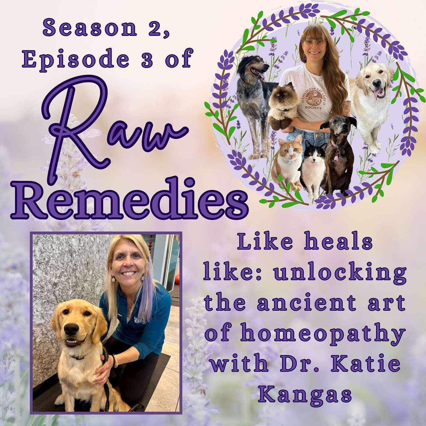 Like heals like: unlocking the ancient art of homeopathy with Dr. Katie Kangas