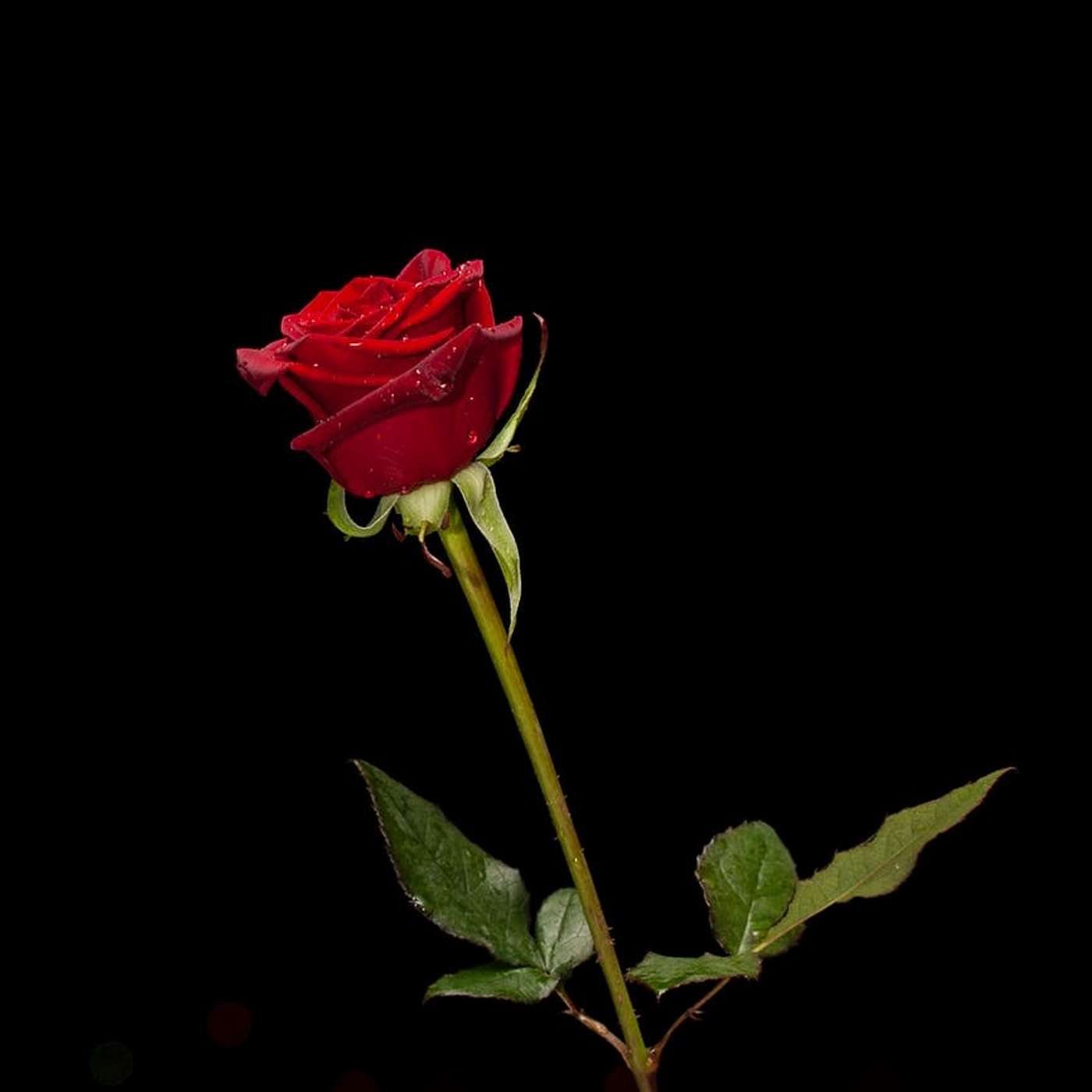 Clyde Christian Bible Church