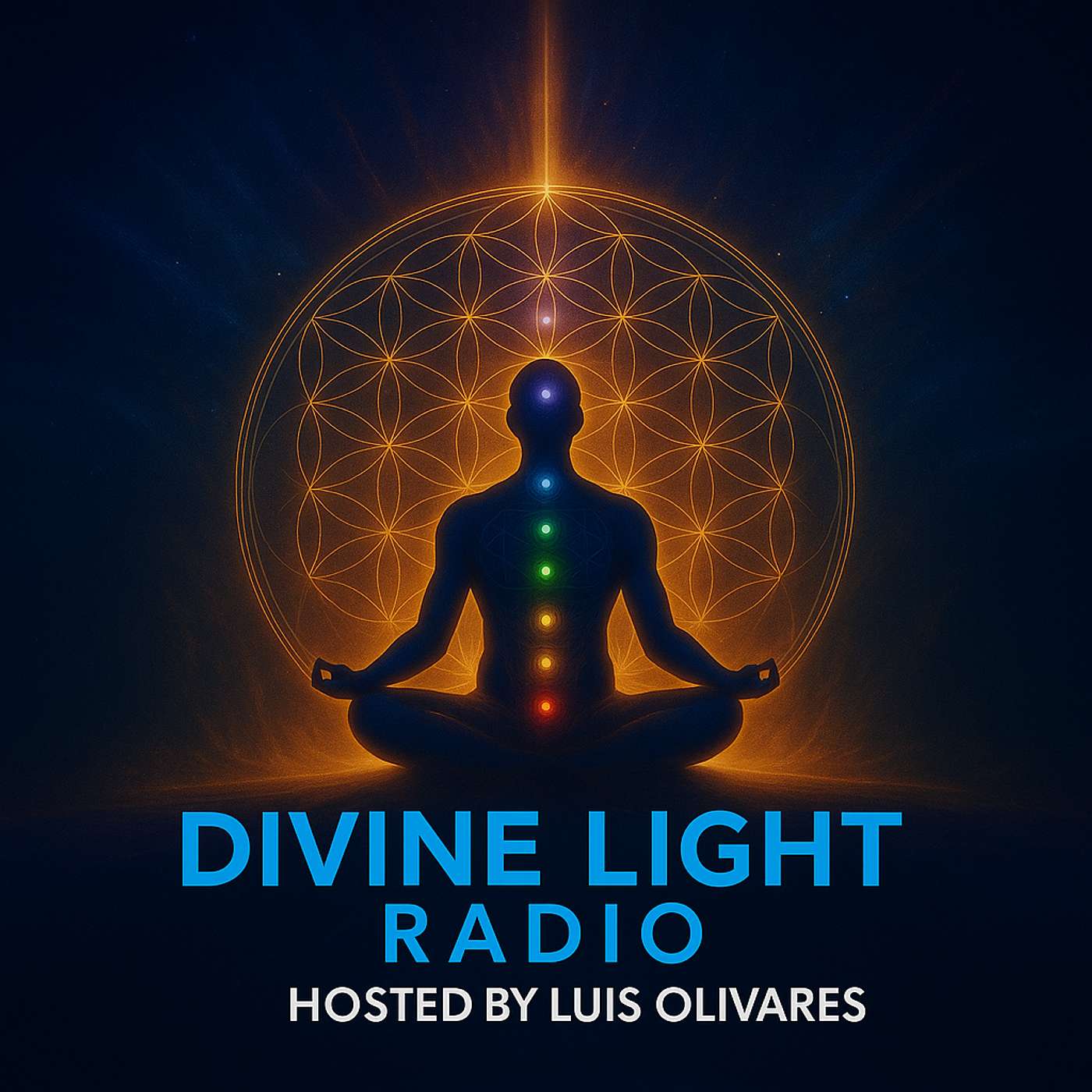 Divine Light Podcast