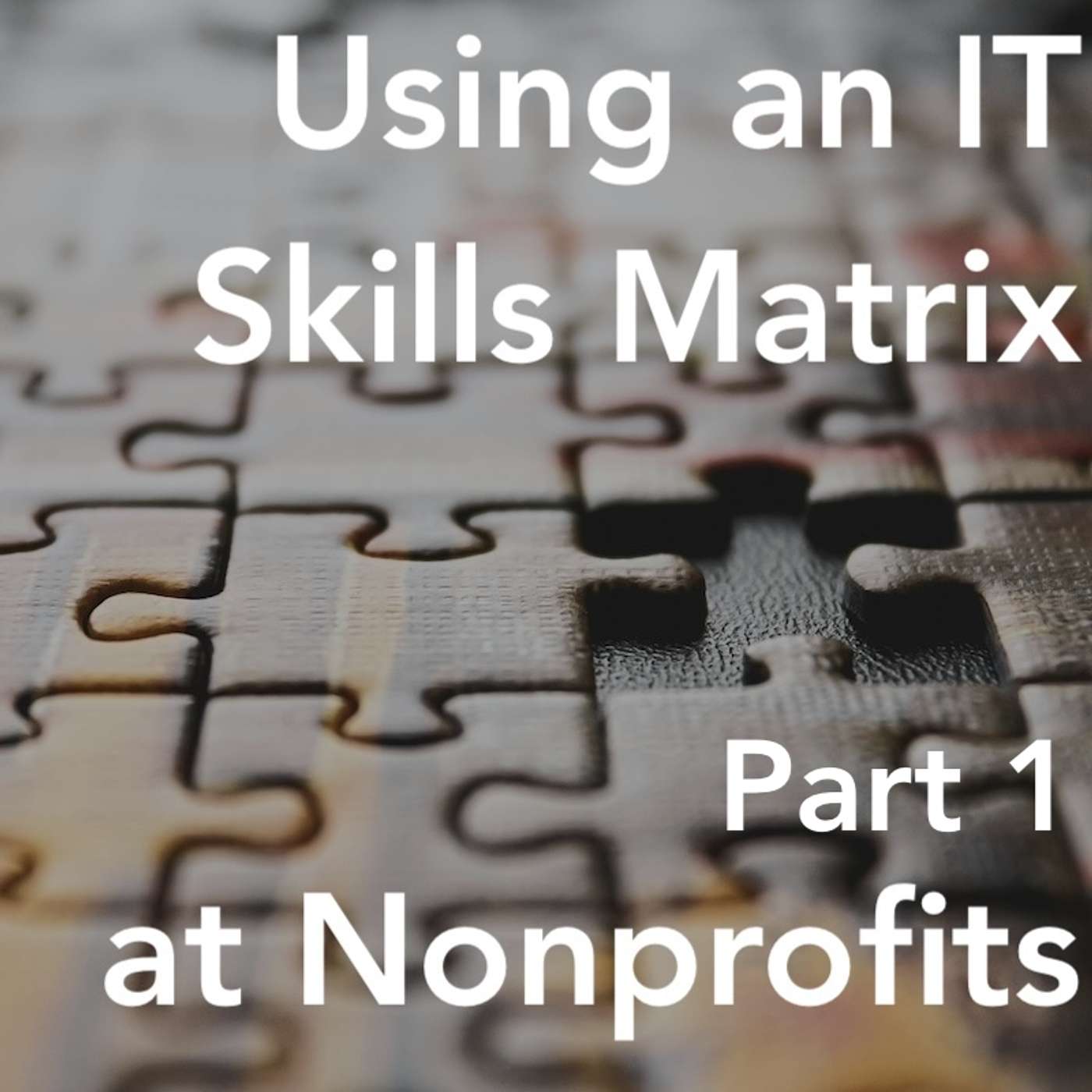 Community IT Innovators Nonprofit Technology Topics - Using an IT Skills Matrix with Heather Ritchie pt 1