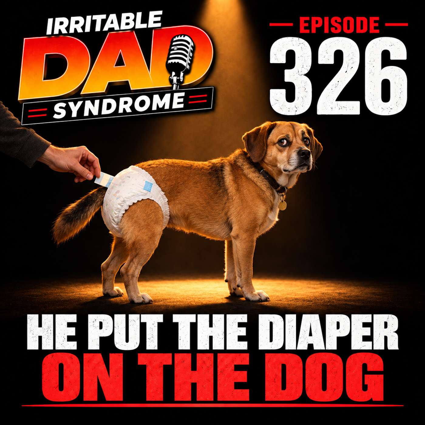 IDS #326 - He Put The Diaper On The Dog