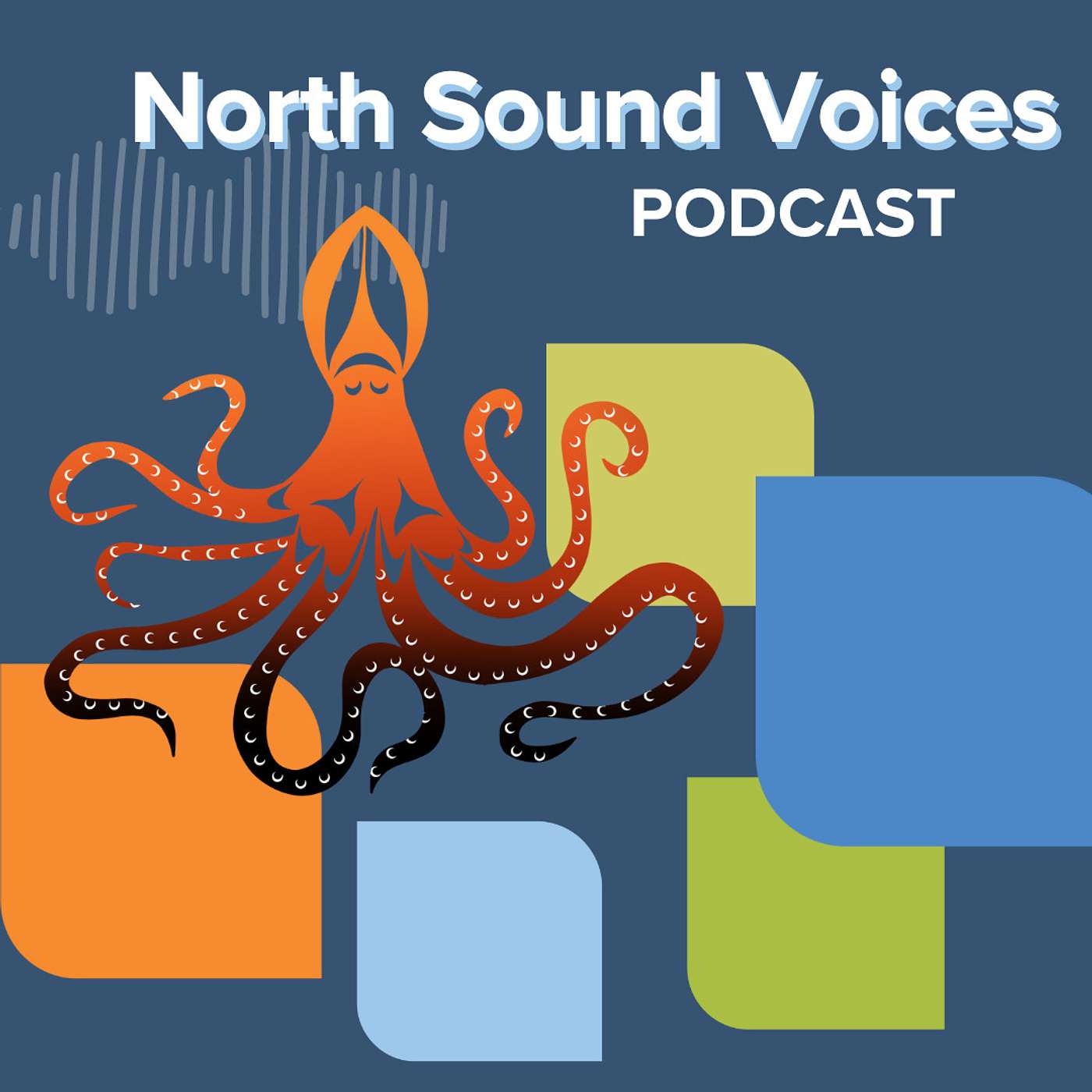 Introducing North Sound Voices!