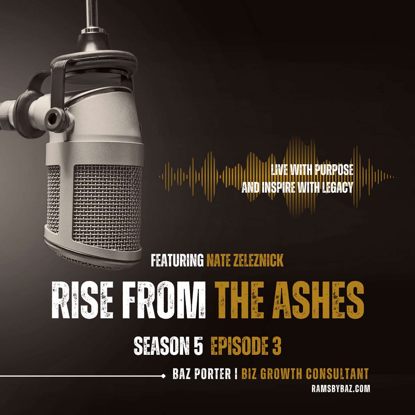 Rise From The Ashes