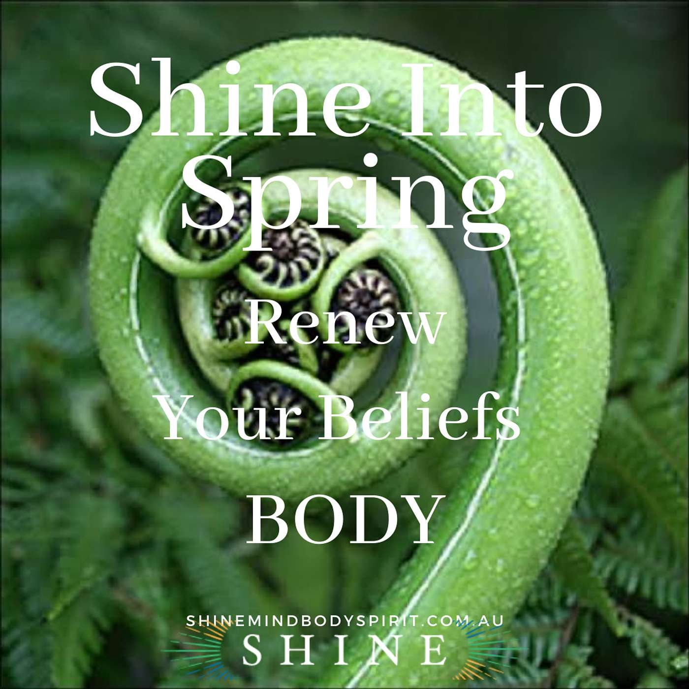 Nourish To Flourish; Your Seasonal Guide to Being Well with Shauna @ Shine Mind Body Spirit