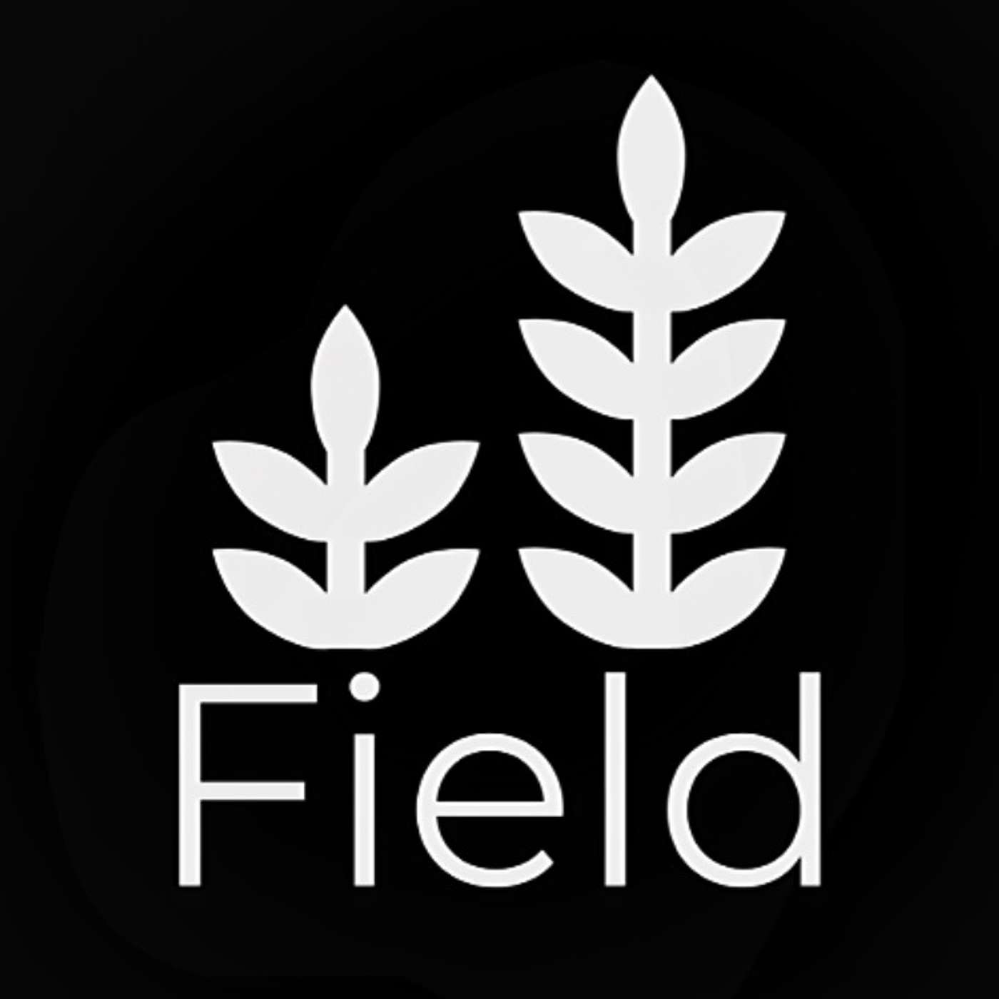 Field Ramble with Andrew Michael Hurley
