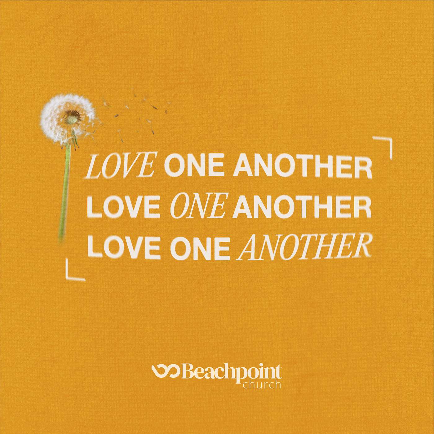 The Love One Another Podcast | Episode 11 - Confronting Sin in the Church