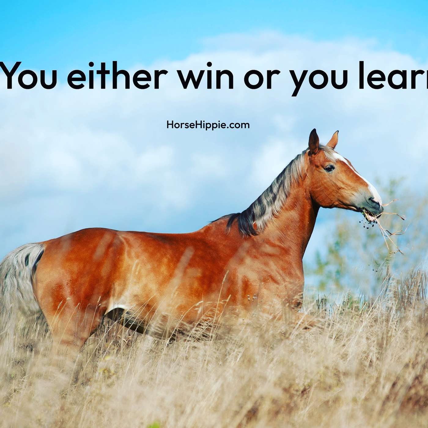 Win or Learn