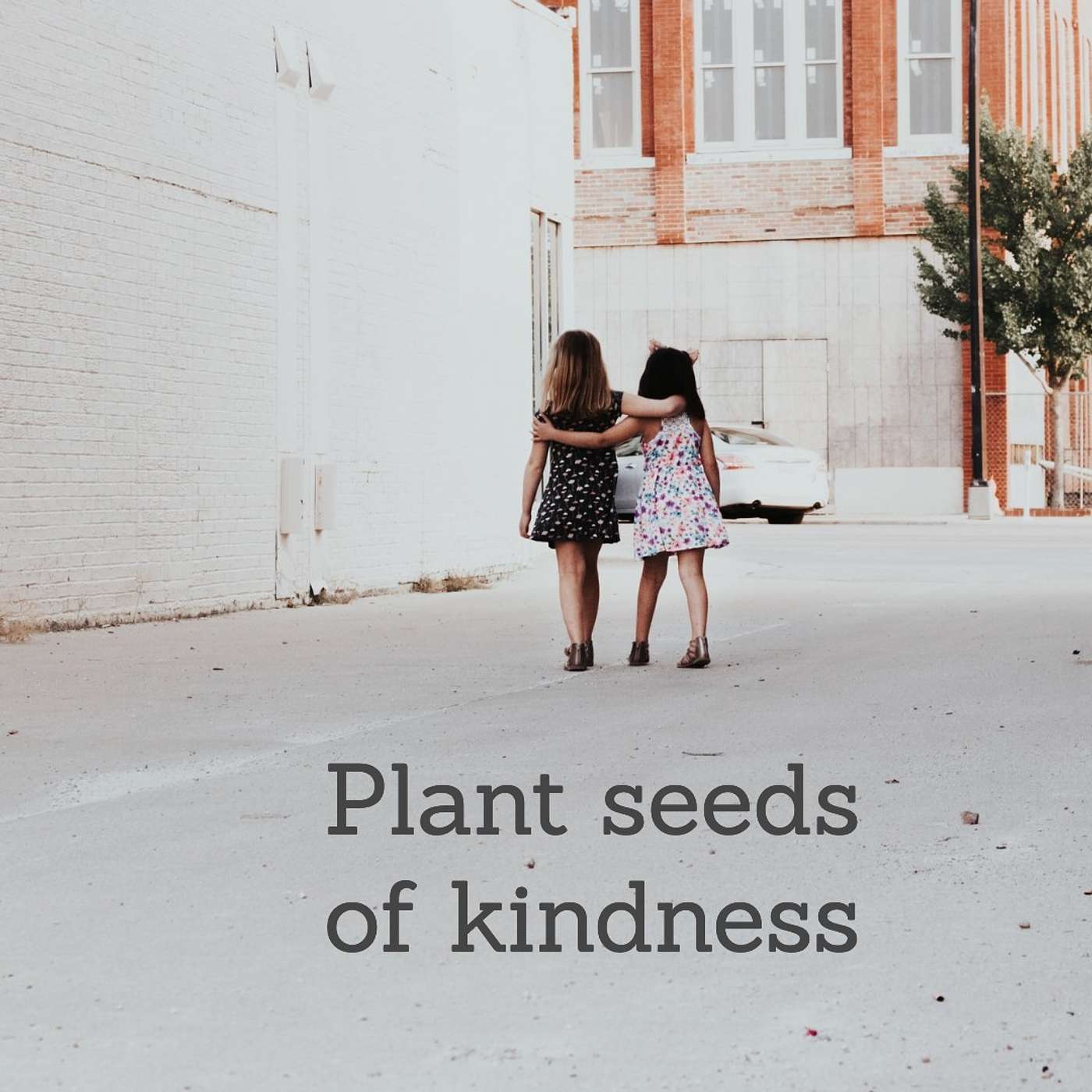 #46 plant seeds of kindness episode artwork