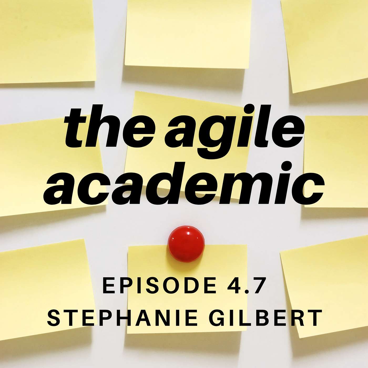the agile academic