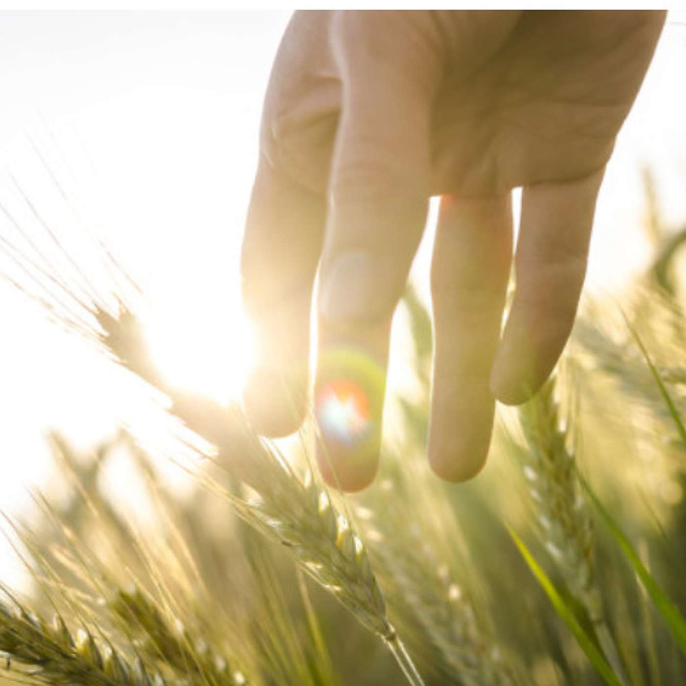 The Health Edge: translating the science of self-care