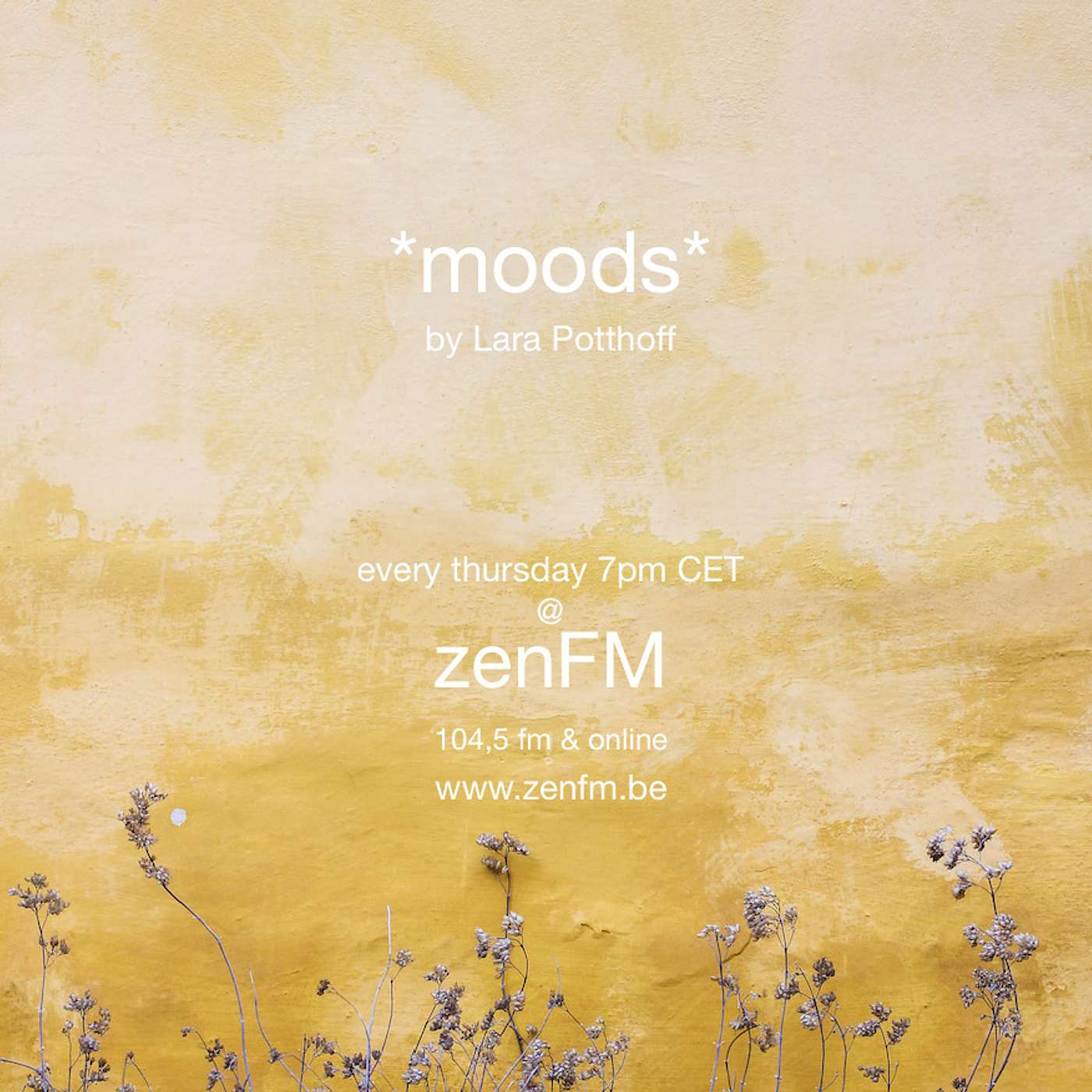 *moods* by Lara Potthoff @ zenFM 17.06.2021