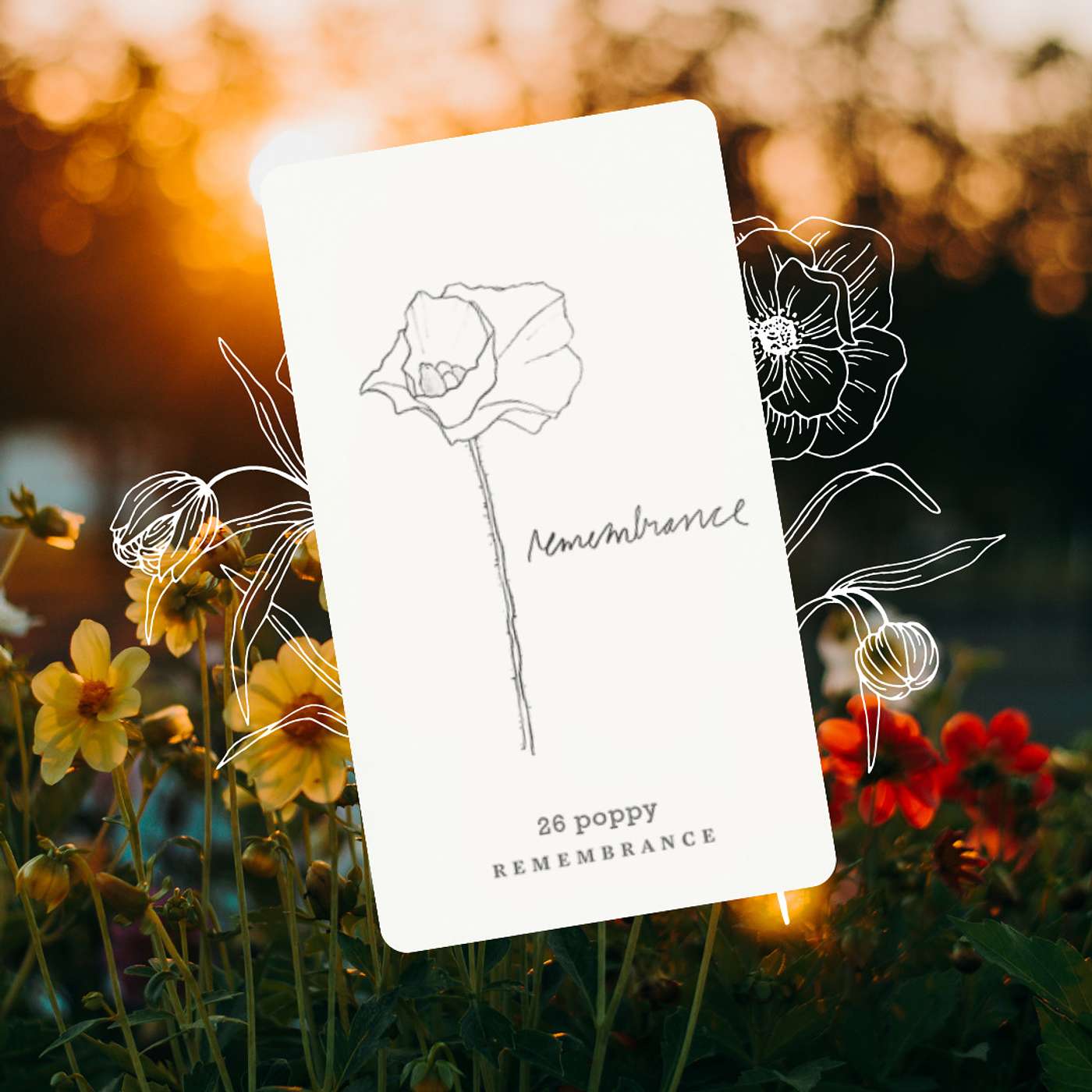 Gratitude Blooming Podcast