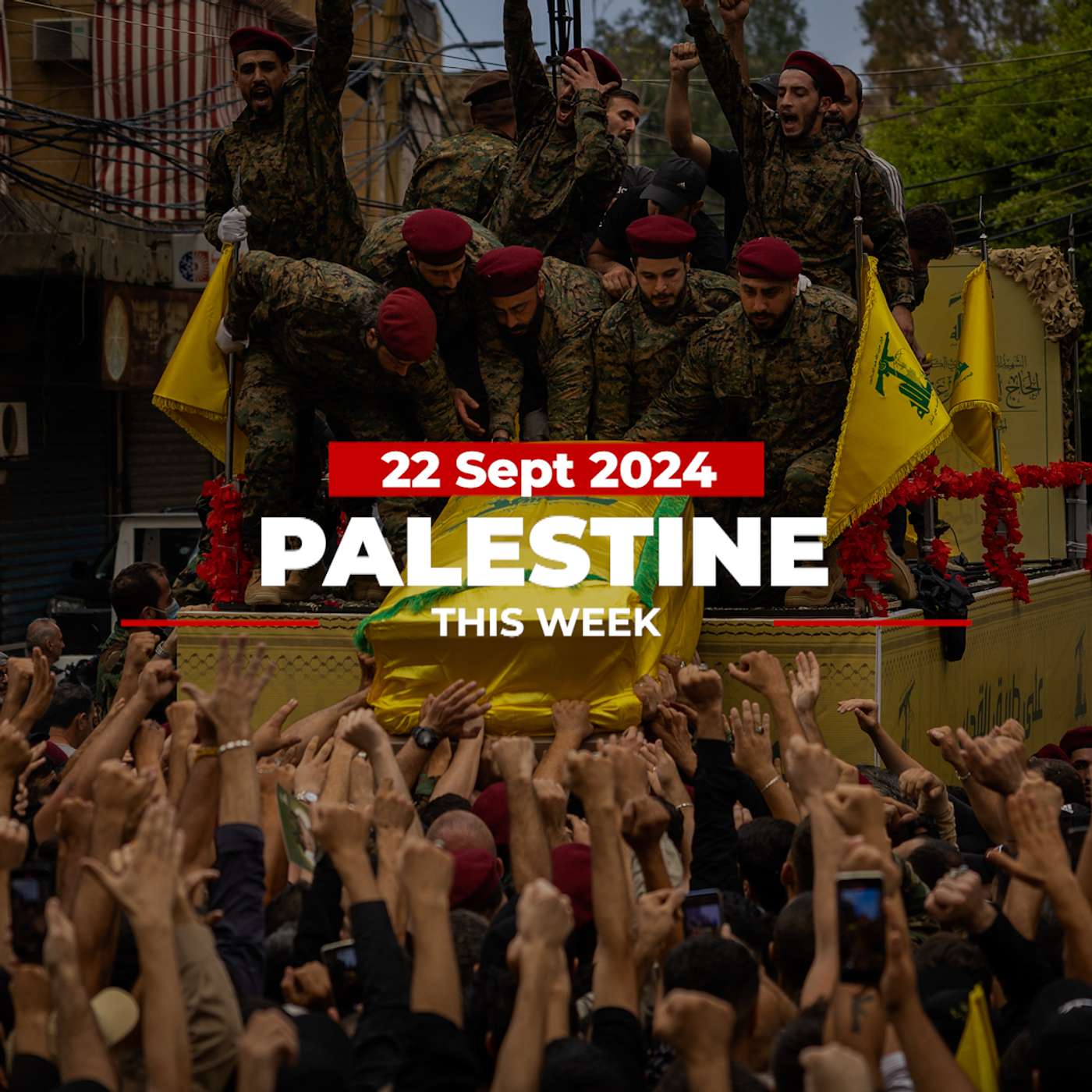 Palestine This Week