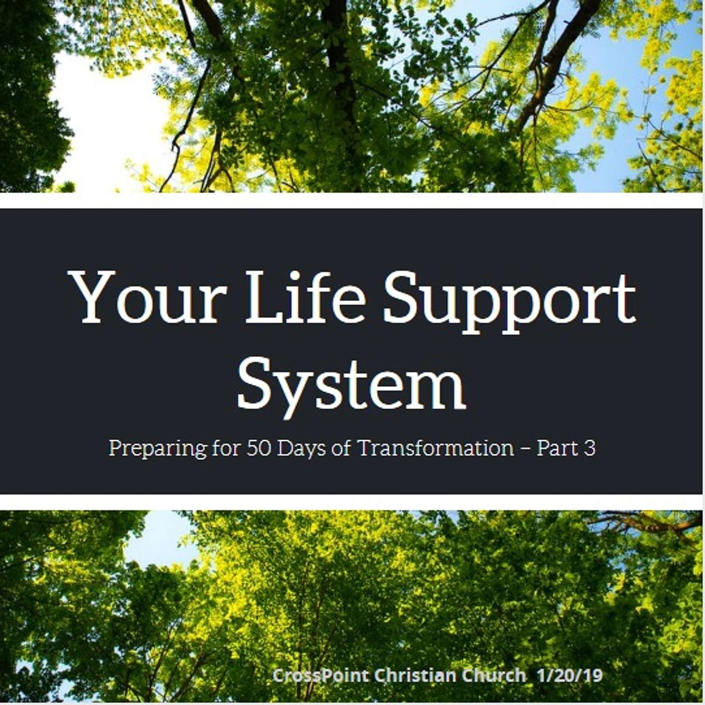 Your Life Support System