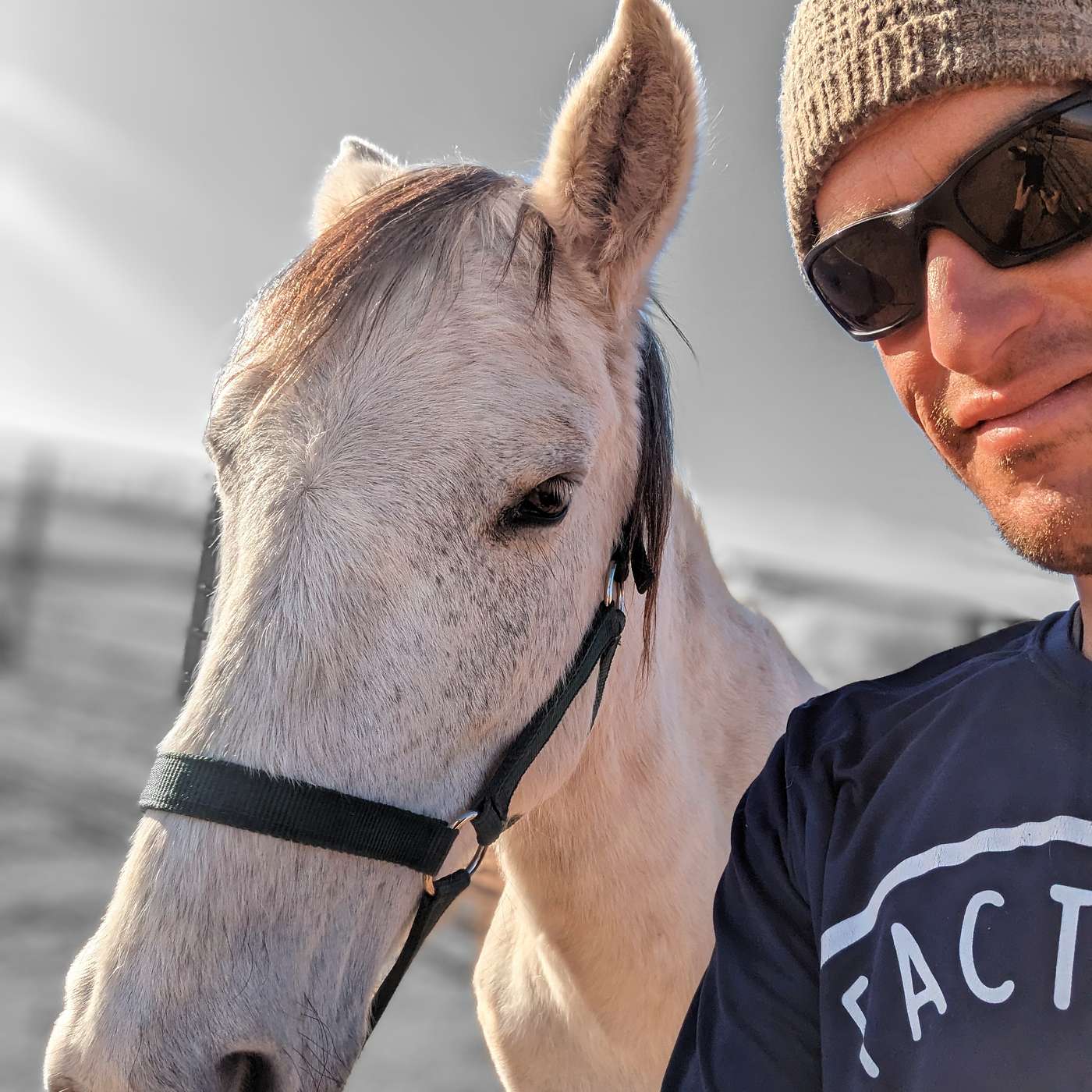 Reinforce the Horse