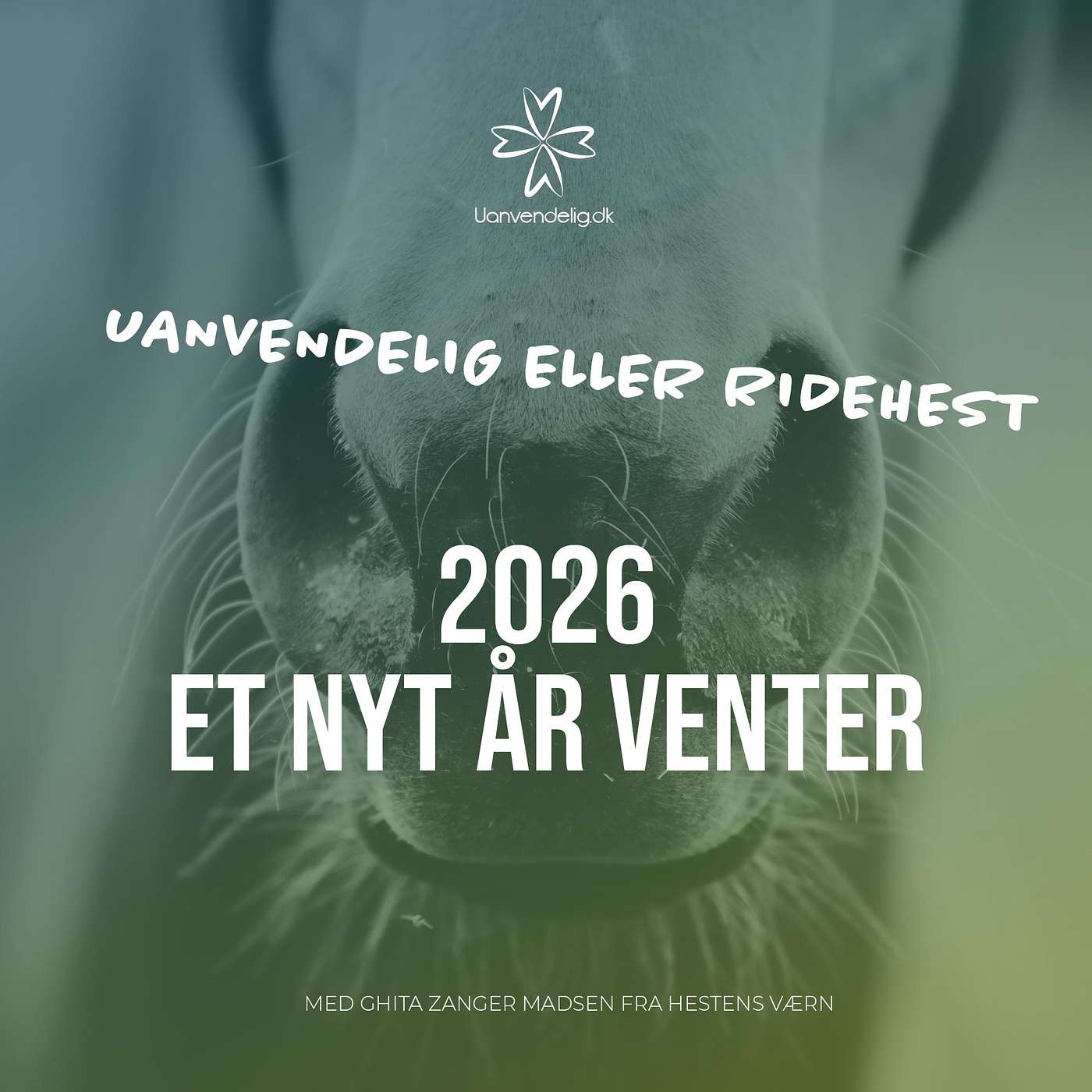 2026 - Vi er klar til endnu et år i hestens tegn 2026 - Vi er klar til endnu et år i hestens tegn