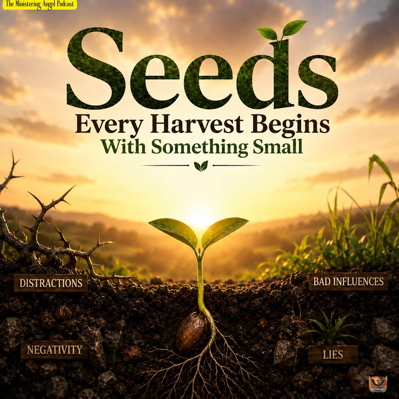 Seeds: Every Harvest Begins With Something Smal! episode artwork