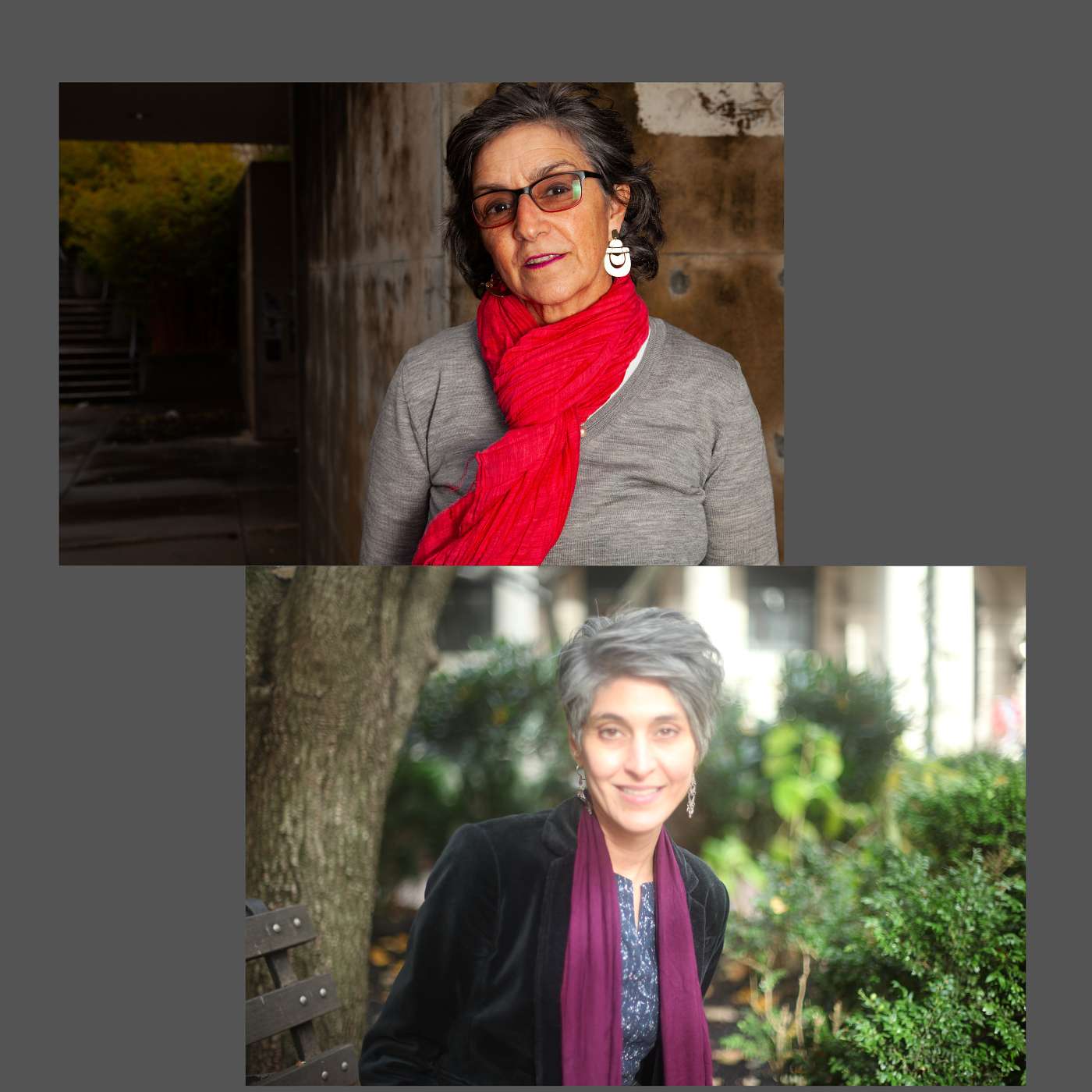 Bombs Will Never Liberate Iran: Persis Karim and Manijeh Moradian in Conversation