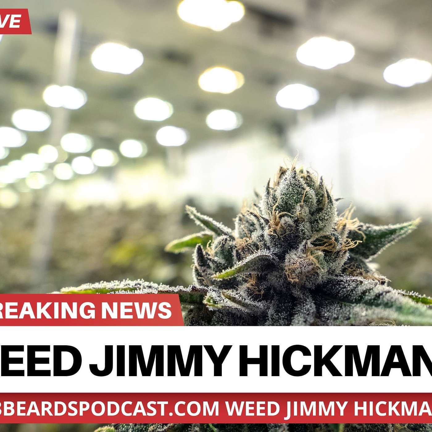 EP 24 Weed/Marijuana with Jimmy Hickman 04-08-2020 episode artwork