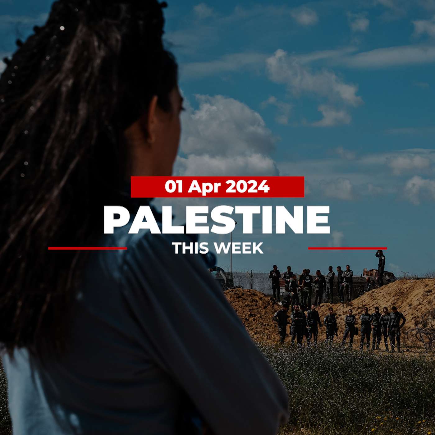 Palestine This Week