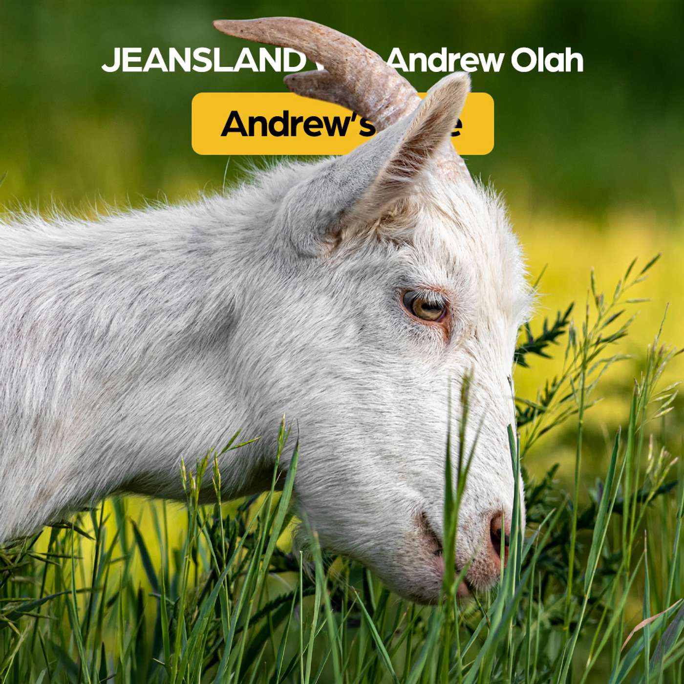 Ep. 85: What Eco-Grazing Teaches Us About Innovation episode artwork