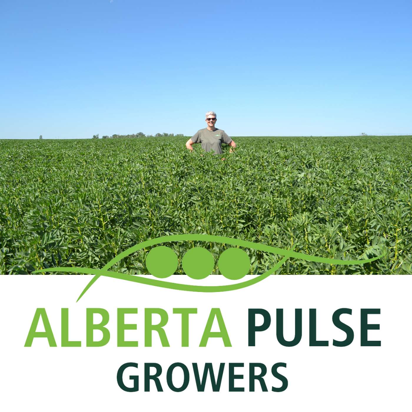 S4 E31 Cooking Lentils, Peas and Beans, with guest Debra McLennan from Alberta Pulse Growers