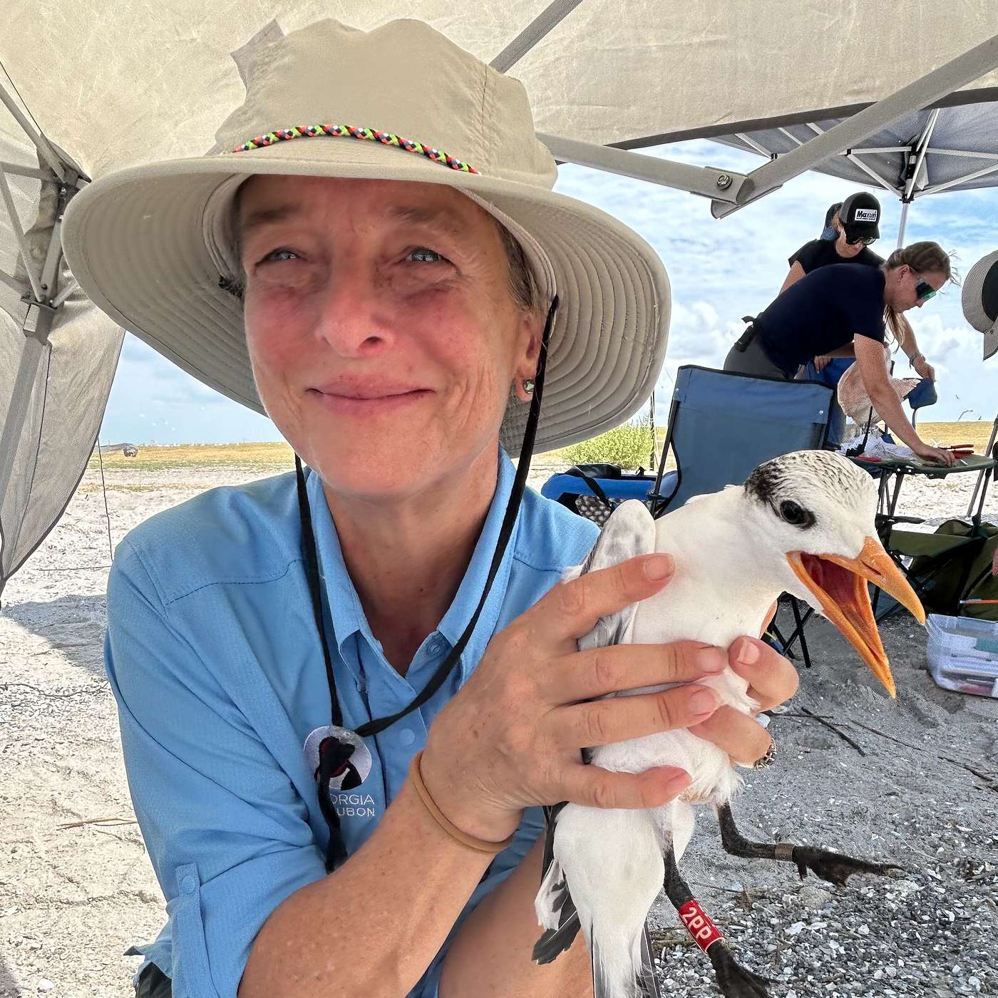 S5 E24: Appreciating and Conserving the Birds. A conversation with Melanie Edwards Furr.