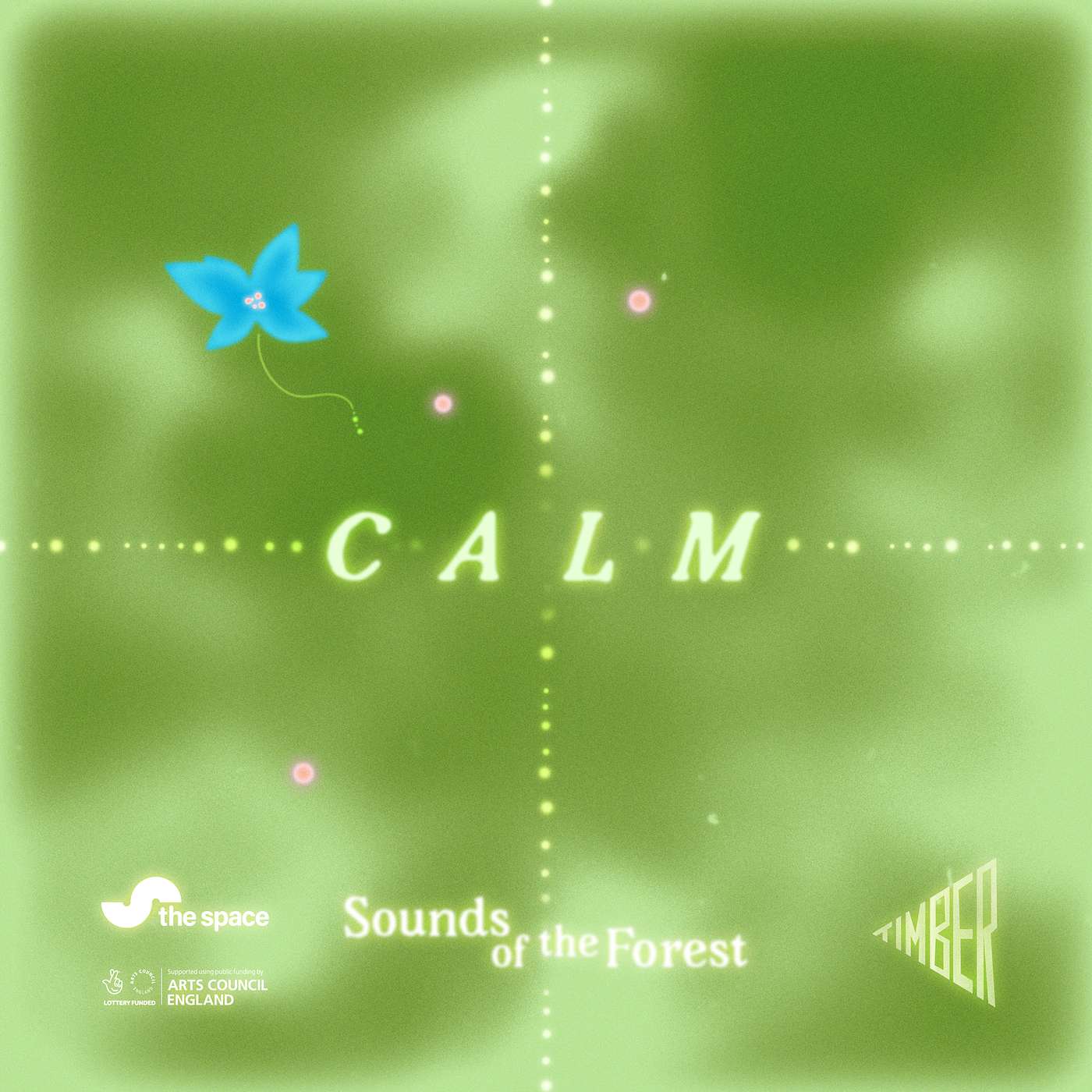 Calm - Sounds of the Forest Soundscapes