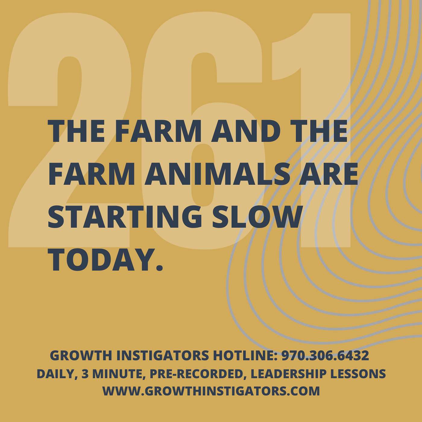 #261 The farm and the farm animals are starting slow today. episode artwork