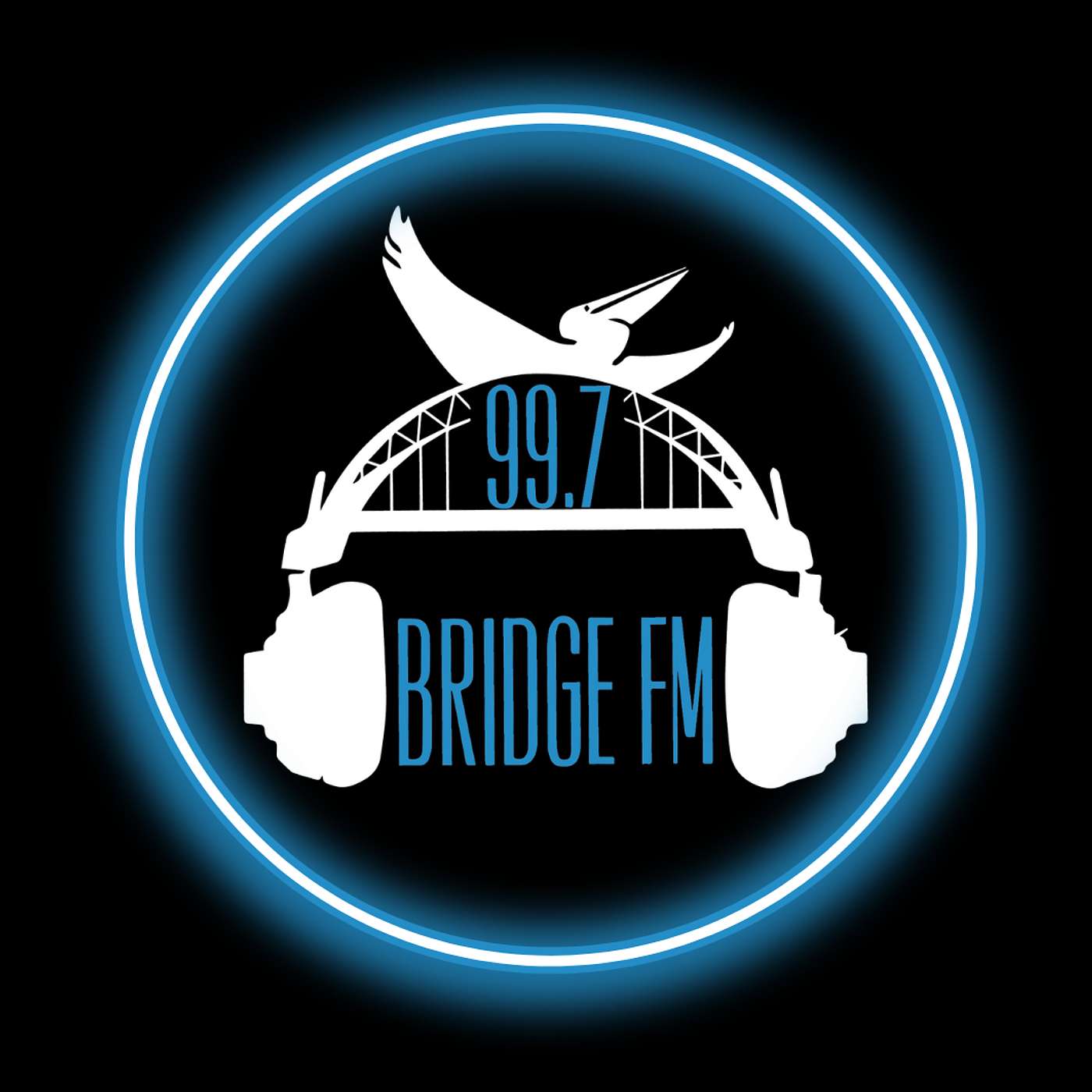Catch up on 99.7 Bridge FM interviews!