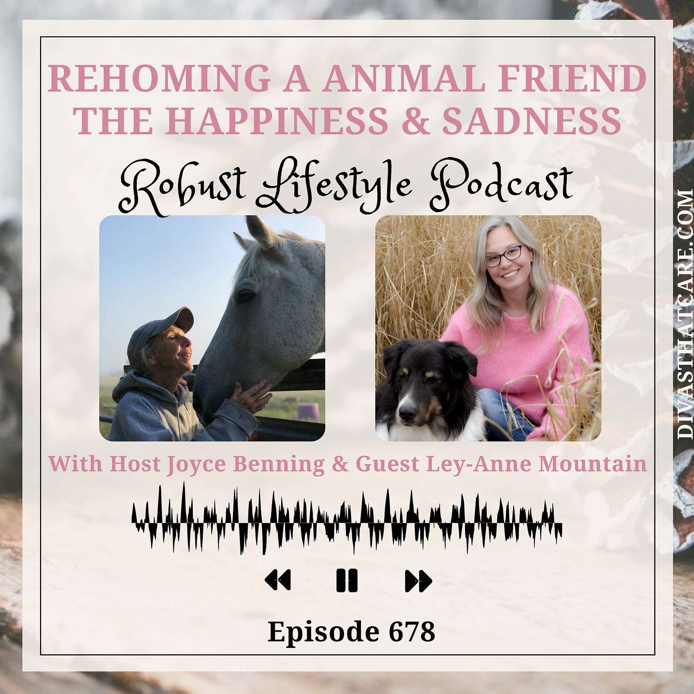 Rehoming a Animal friend the Happiness & Sadness episode artwork