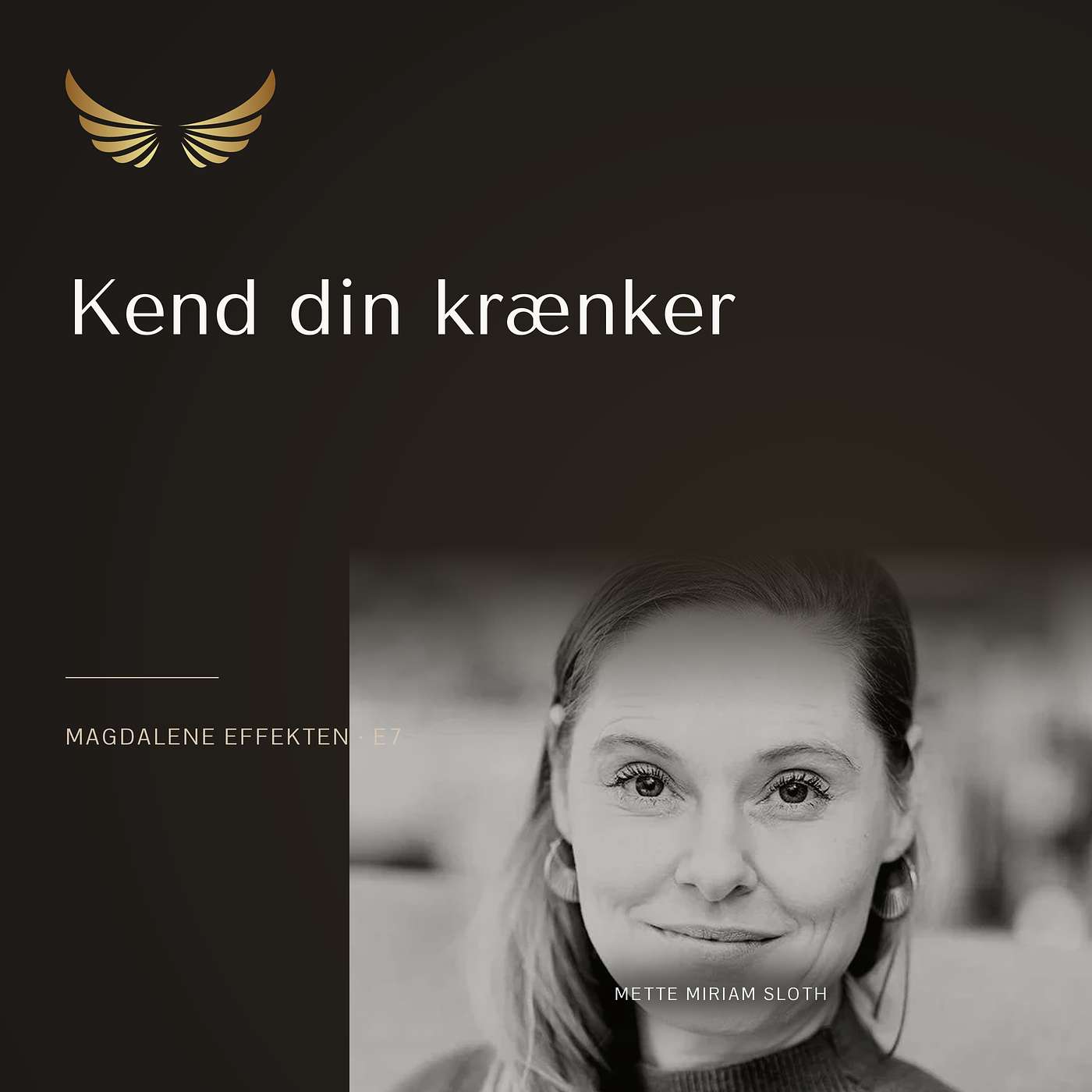 E7: Kvinde kend din krænker episode artwork