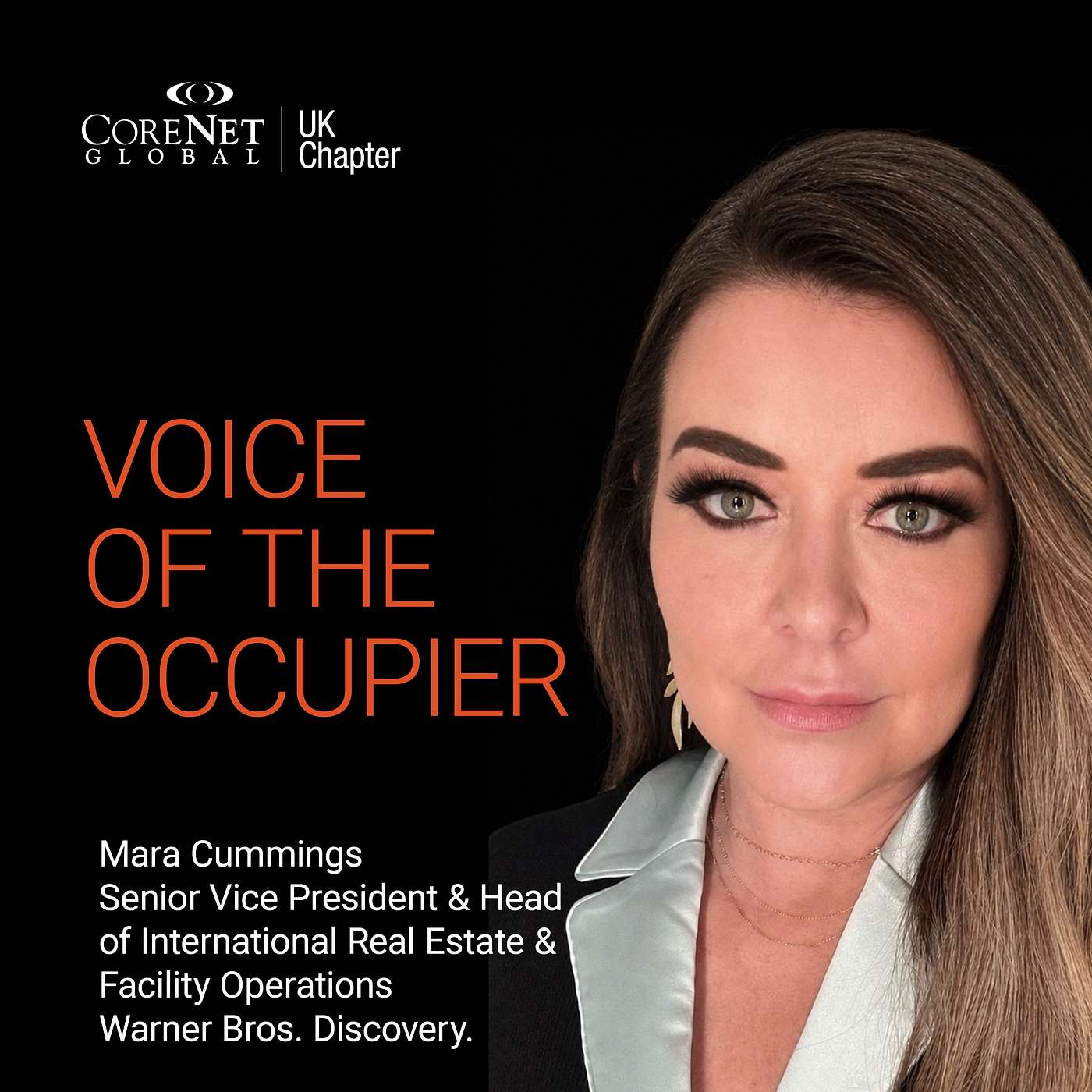 Voice of the Occupier - Allison English & Mara Cummings episode artwork