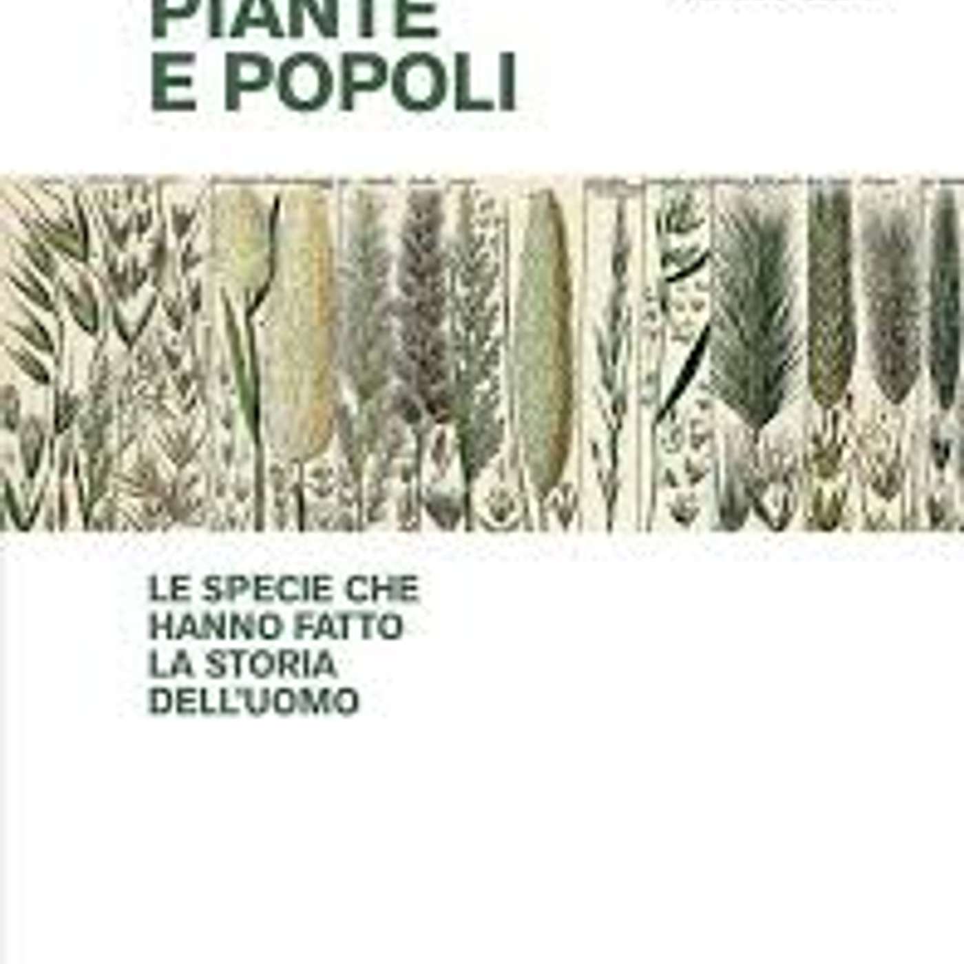 Piante e popoli. Le specie che hanno fatto la storia dell’uomo - Intervista a Raffaele Testolin episode artwork