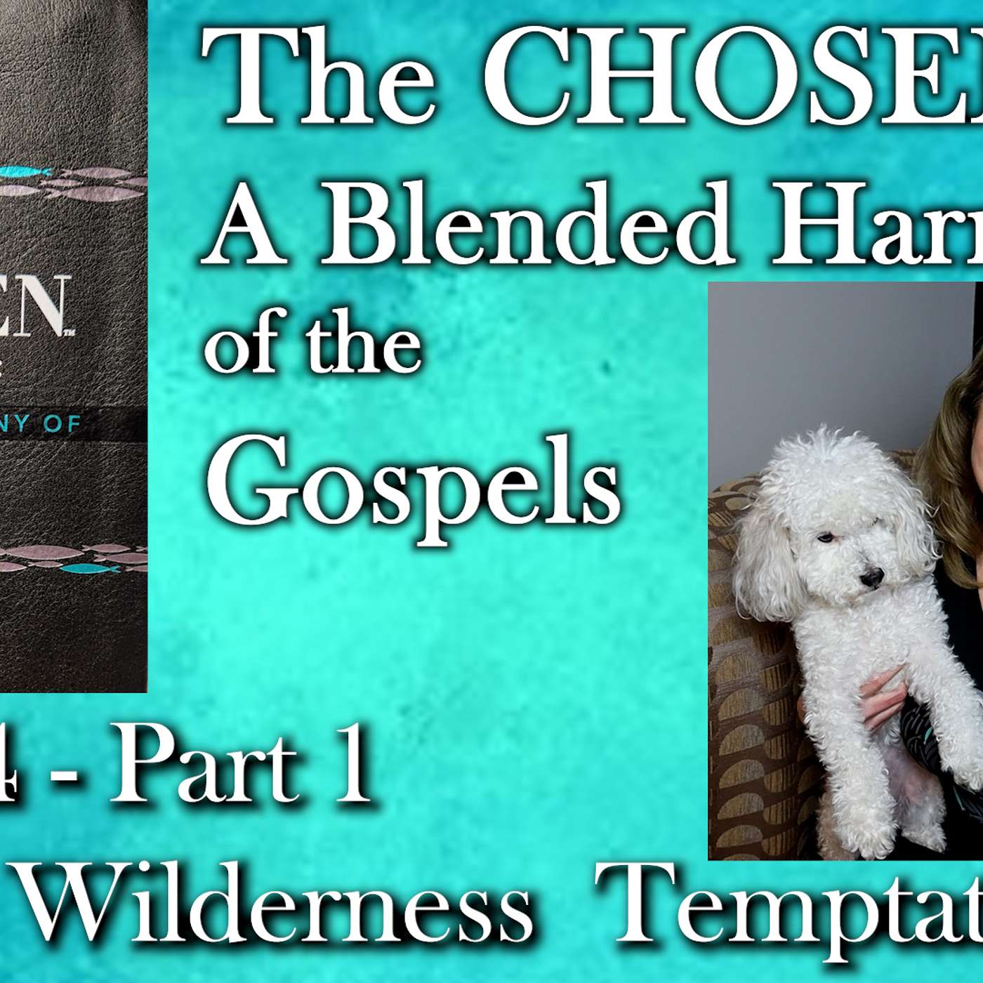 The Chosen Harmony of the Gospels- Day 4 Part 1:Jesus Tempted in the Wilderness episode artwork