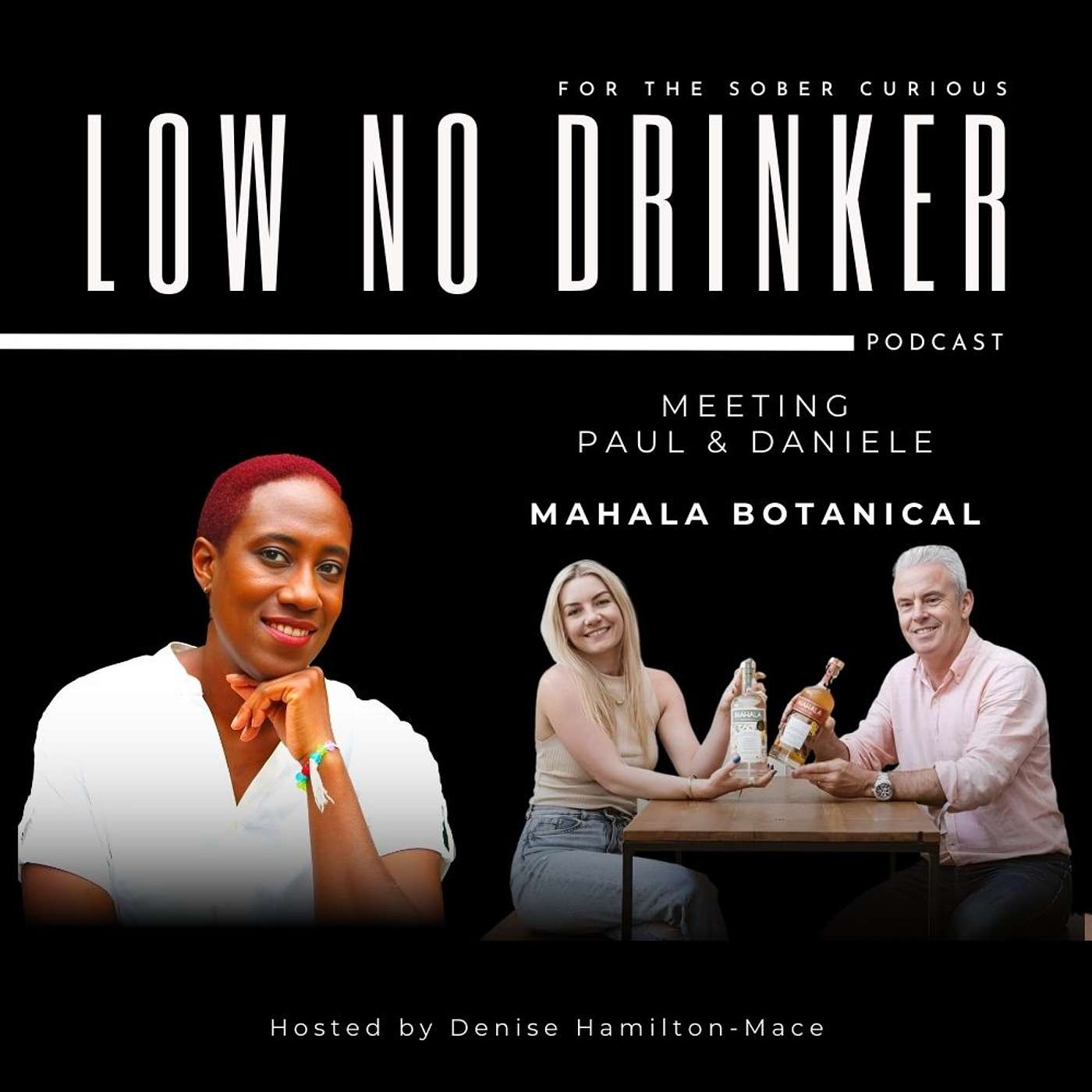 Mindful Drinking & Moderation in Midlife: Low No Drinker Podcast