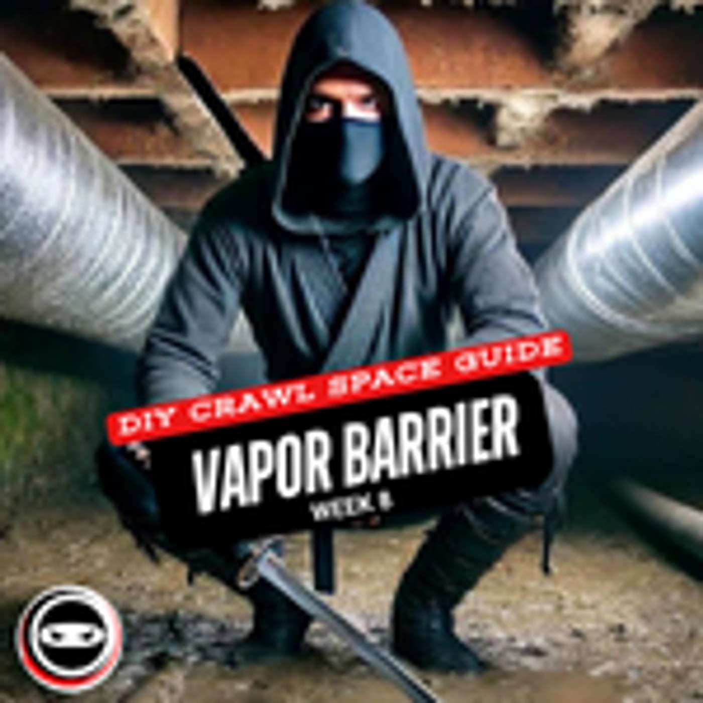 DIY Crawl Space Guide: Vapor Barrier Removal Week 8