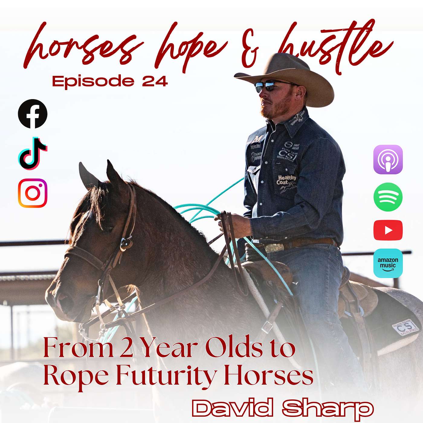 horses hope & hustle