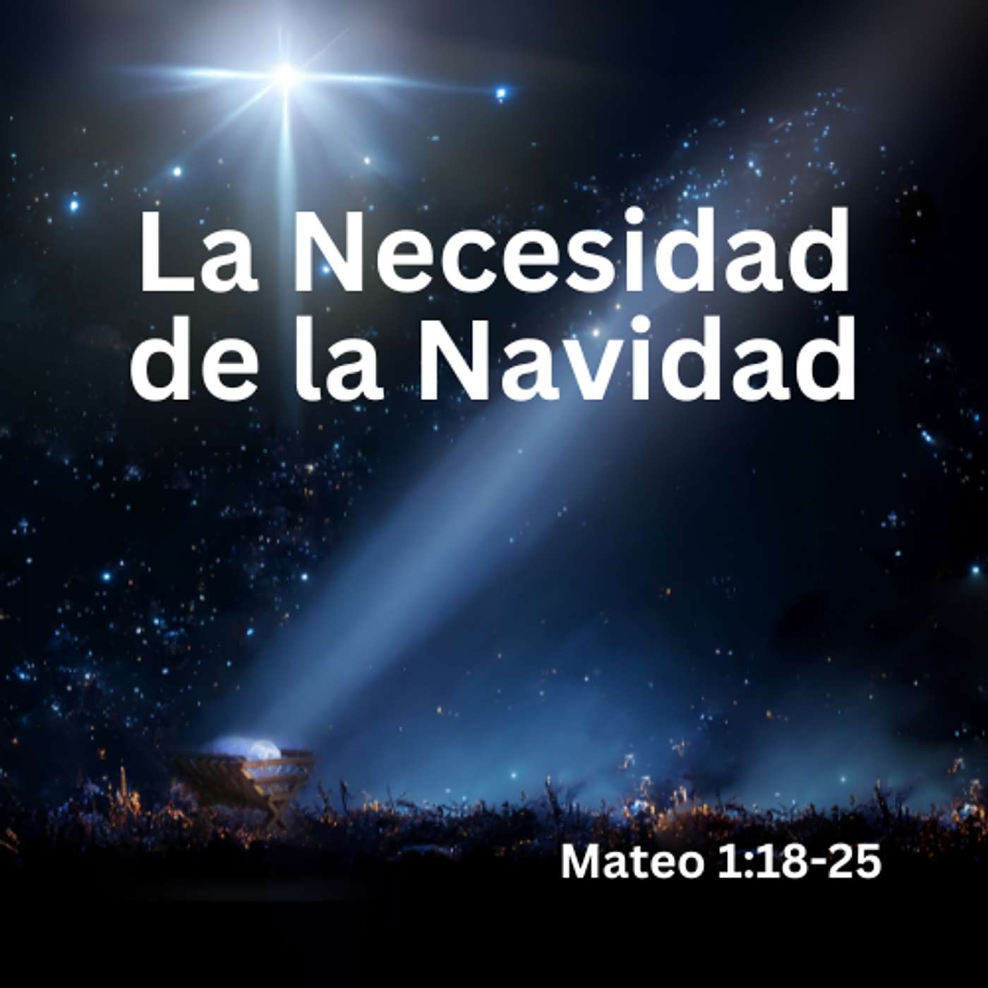 La Necesidad de la Navidad