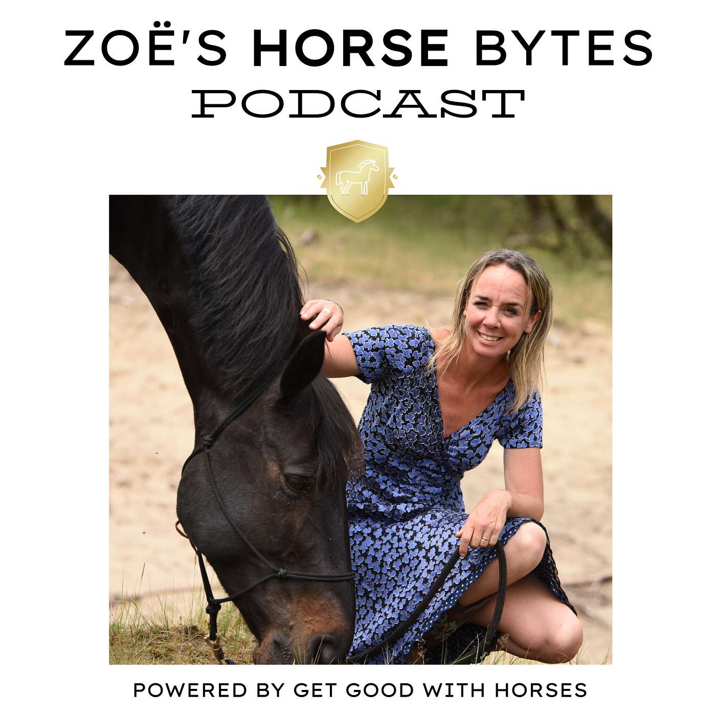 15. HOW to get good with horses episode artwork