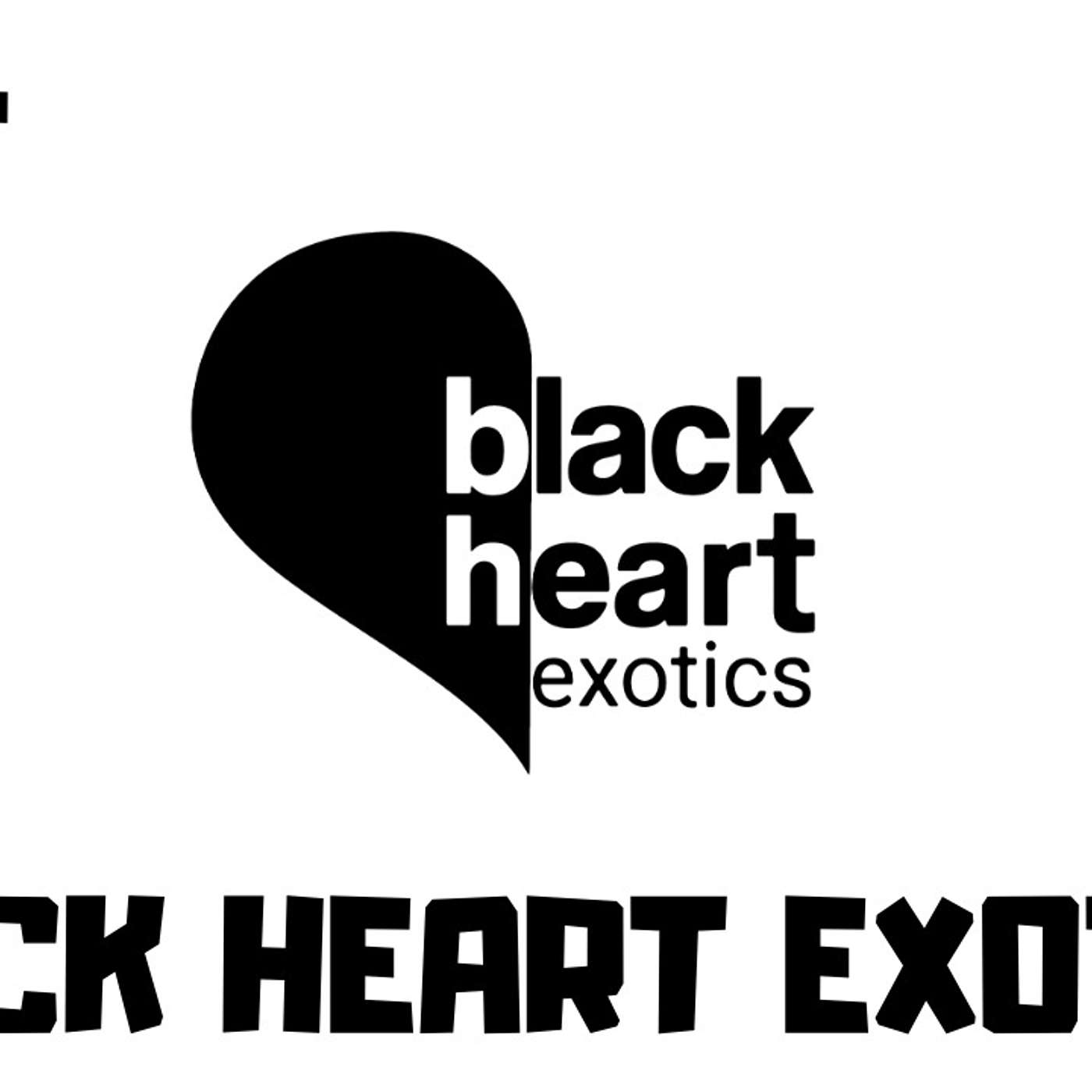 #204 MICHAEL GRAHAM OF BLACK HEART EXOTICS | BALL PYTHONS CANADA | INT'L COFFE & DABS SESSION
