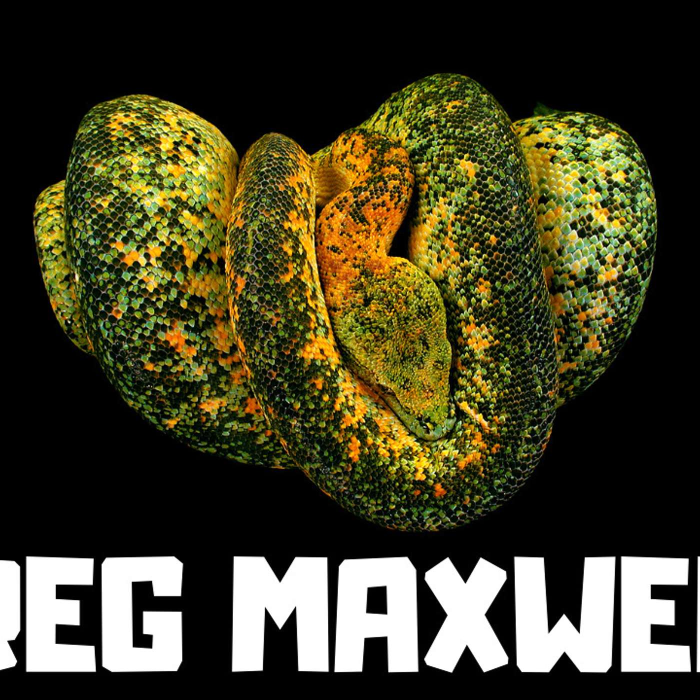 #168 GREG MAXWELL REPTILES | GREEN TREE PYTHONS | THE MORE COMPLETE CHONDRO AUTHOR | TRAP TALK