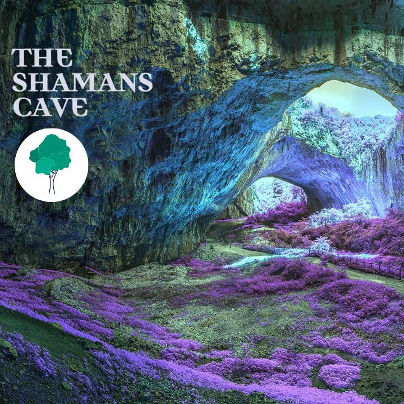 The Shamans Cave