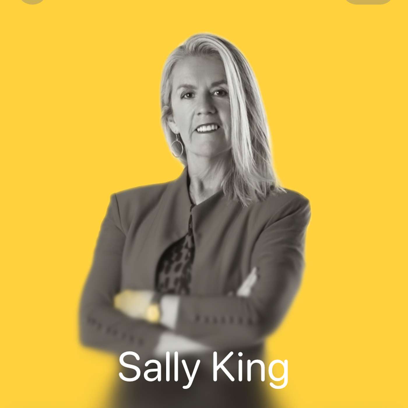 Sally King: Thriving Law Firms podcast artwork
