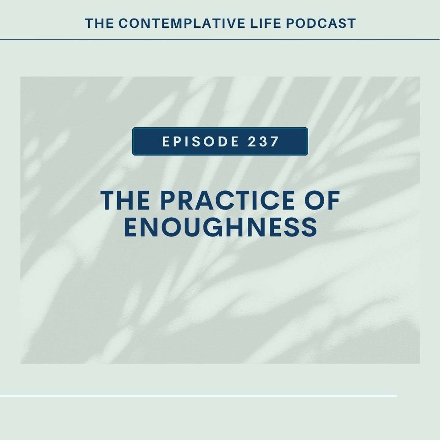 E 237 The Practice of Enoughness